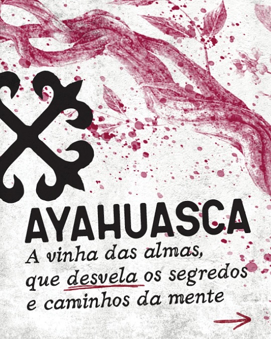 ATENÇÃO!
Existe um lado menos glamouroso da ayahusaca do qual pouco se fala. A popularização do seu uso trouxe à tôna um sério problema de saúde pública que viu, em pouco tempo, o aumento significativo de problemas relacionados ao efeitos adversos da bebida em pessoas com condições clínicas ou alguma predisposição ao desenvolvimento de reações ou problemas físicos ou psicológicos graves, até mesmo com alguns casos de óbito. Isso foi relatado no documentário “O Último Xamã”, de 2016. O filme conta a peregrinação de um jovem estadunidense em busca de cura para sua depressão profunda através da ayahuasca, mas acaba expondo o mercado por trás da glamourização da medicina e sua popularizacão, que atraiu um grande número de charlatões e aproveitadores, com rituais sem nenhum cuidado e critério.
Além disso, e talvez mais preocupante, é que muitas condições clínicas desconhecidas podem vir à tôna durante seu uso em rituais. Condições psiquitátricas, muitas vezes desconhecidas pelos usuários, podem ocasionar surtos e crises profundas e sérias. Não são poucos os casos de pessoas que tiveram experiências horríveis com os efeitos da bebida e que passaram a lidar com sequelas físicas, sobretudo psiquiátricas. Condições psicológicas podem surgir também durante os rituais, já que a experiência em si nos coloca em contato com medos, traumas e com aspectos inconscientes de nossas experiências e vivências.
Dito isso, é importante que se diga: Ayahusca não é para todos. É uma medicina ancestral, por séculos usada em contextos ritualísticos específicos e com propósito. O tabaco, antes medicina, agora causa de câncer e morte, já nos mostrou que a sabedoria ancestral, quando usada sem sabedoria, subverte seus fins e consegue até mesmo transformar remédio em veneno.
Use com sabedoria, mas saiba dos riscos!!!
Para aprofundar:
✣ O uso Ritual da Ayahuasca - Beatriz Caiuby Labate (Editor), Wladimyr Sena Araújo (Editor) (Ed. ML, 2002)
✣ Visões Multidisciplinares da Ayahuasca - Lucas Oliveira Maia, Camila Dias, Luis Felipe Valêncio (Ed. Unicamp, 2024)
#ayahuasca #xamanismo #haux #daime #magia #ocultismo #encruza