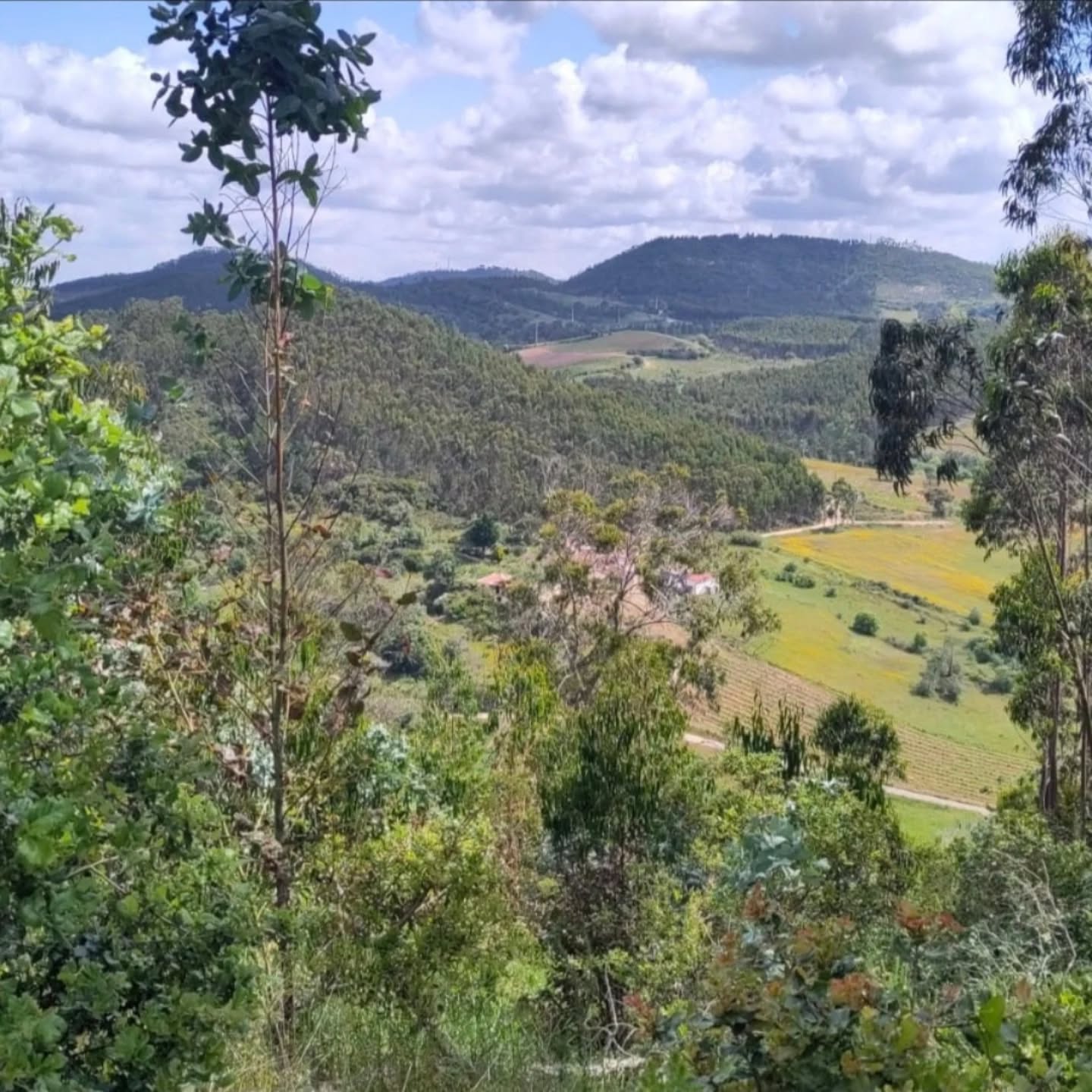 Dia 2 de Setembro
Hoje foi um dia muito especial para o Naterra e para quem o idealizou, como projeto, lançou a primeira "pedra" e o está a ver a crescer: eu própria, Patrícia.
Se este dia já era um dia muito importante para mim, porque a minha querida mãe fazia anos, hoje, a dimensão da importância que este dia tem na minha vida, aumentou até ao Céu: o sonho de abrir o Naterra para crianças mais velhas em registo de homeschooling - apoio de 1 ciclo, finalmente se concretizou em conjunto com uma equipa fantástica - @Anastomosis.
Em tua homenagem, Mãe e professora Zizi, vou ajudar a concretizar este projeto no Naterra onde a Aprendizagem pela Arte, ao ar livre, democrática e experiencial vai ser uma realidade para muitas crianças: a mesma em que tu e eu sempre acreditámos na Educação.
Obrigada a todos os que tornaram este sonho possível❤️
Obrigada, Mãe, por tudo o que me ensinaste e por todo o amor que sempre deste a todos os que contigo se cruzaram: pequenos e grandes!
2 September
Today was a very special day for Naterra and for those who idealized it, as a project, laid the first "stone" and is watching it grow: myself, Patrícia.
If this day was already a very important day for me, because was my dear mother birthdate, today, the extent of the importance that this day has in my life has increased to Heaven: the dream of opening up Naterra to older children in homeschooling - 1 cycle support, finally, came true together with a fantastic team - @Anastomosis.
In your honor, Mum and Teacher Zizi, I will help to implement this project in Naterra, in Mafra (where you lived), where learning through art, outdoors, democratically and experientially, will be a reality for many children - the same thing you and I have always believed in Education!
Thank you to all who made this dream possible❤️
Thank you, Mum, for all that you have taught me and for all the love you have always given to all who have crossed paths with you: small (kids) and big (adults)!❤️
Patrícia
2/09/2025