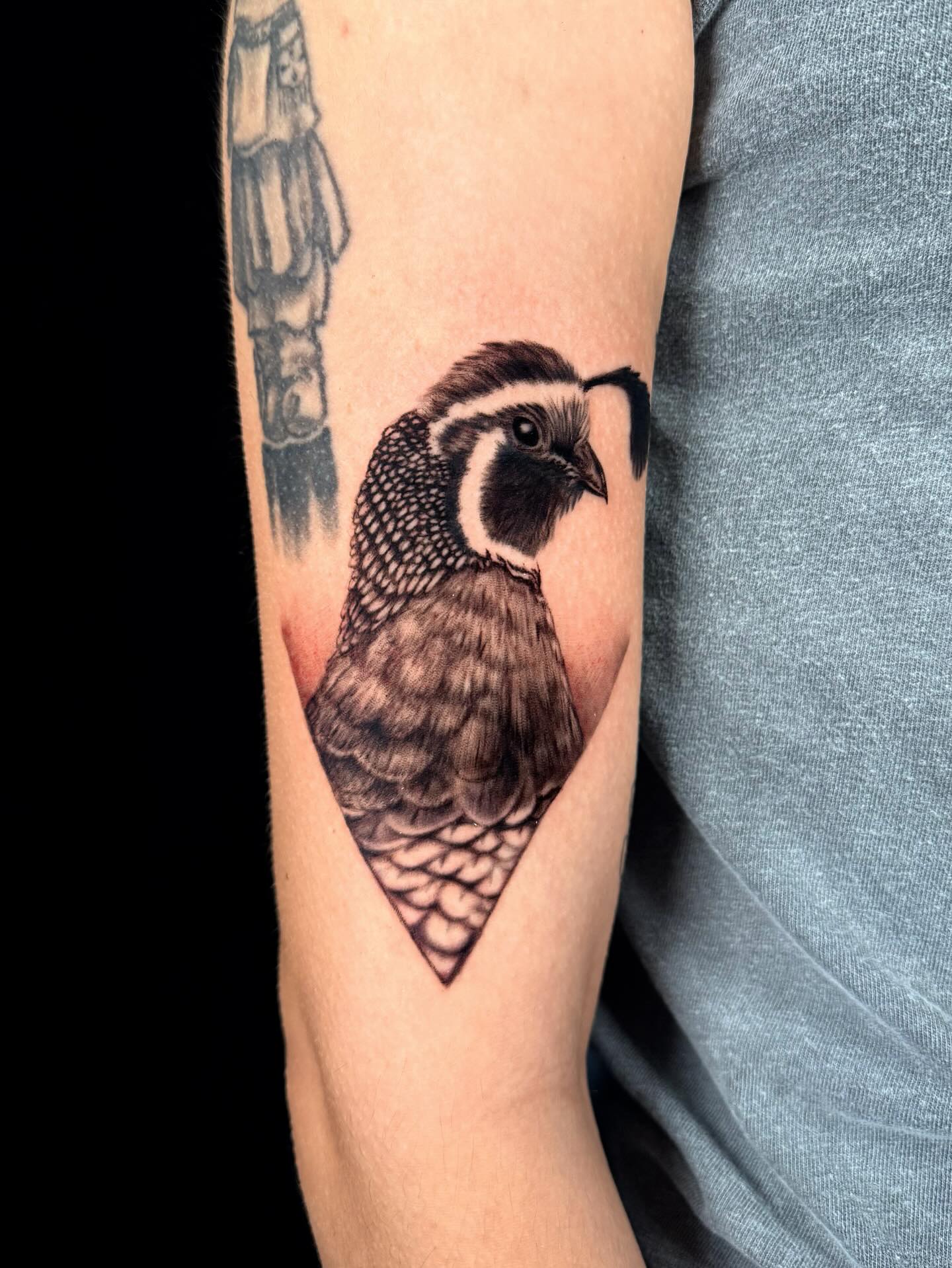 A handsome little quail for Josie 🥰
Done in April 2025!
Thank you @josie_rosie94 🫶🏼
#tattoos #femaletattooartist #quailtattoo #realismtattoo #blackandgreyrealism #arizonatattoo #arizonatattooartist