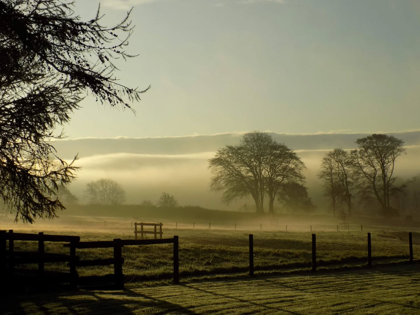Misty mornings. Autumn feels like it's just around the corner 🍁 We still have two weeks available at the end of September. Don't forget we also have 10% off 7 night stays for couples. Use discount code COUPLES when booking 🥰
.
.
.
.
#lowerwillsworthy #autumn #selfcateringaccommodation #dartmoorholidays #dartmoornationalpark #dartmoorholidaycottage #escapetothecountry #escapetothecottage #ukbreaks #holidaycottagesuk #vistdartmoor #visitdevon #countryretreat #devon #staycation
