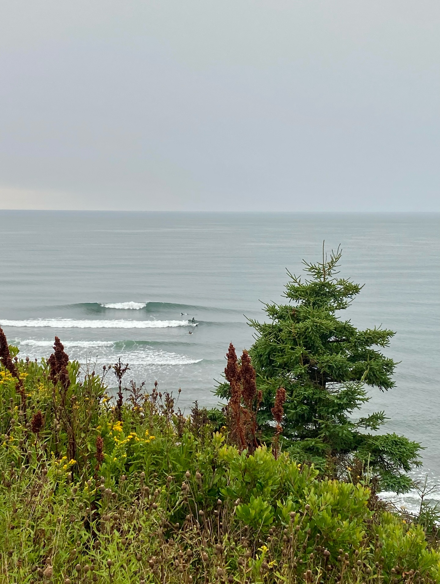 waves, fun, friends, love and wildlife 🙏🤙
#canada #surf #travel #respectnature #goodpeople #wildlife #xirimirisurf #sharingiscaring #🍁