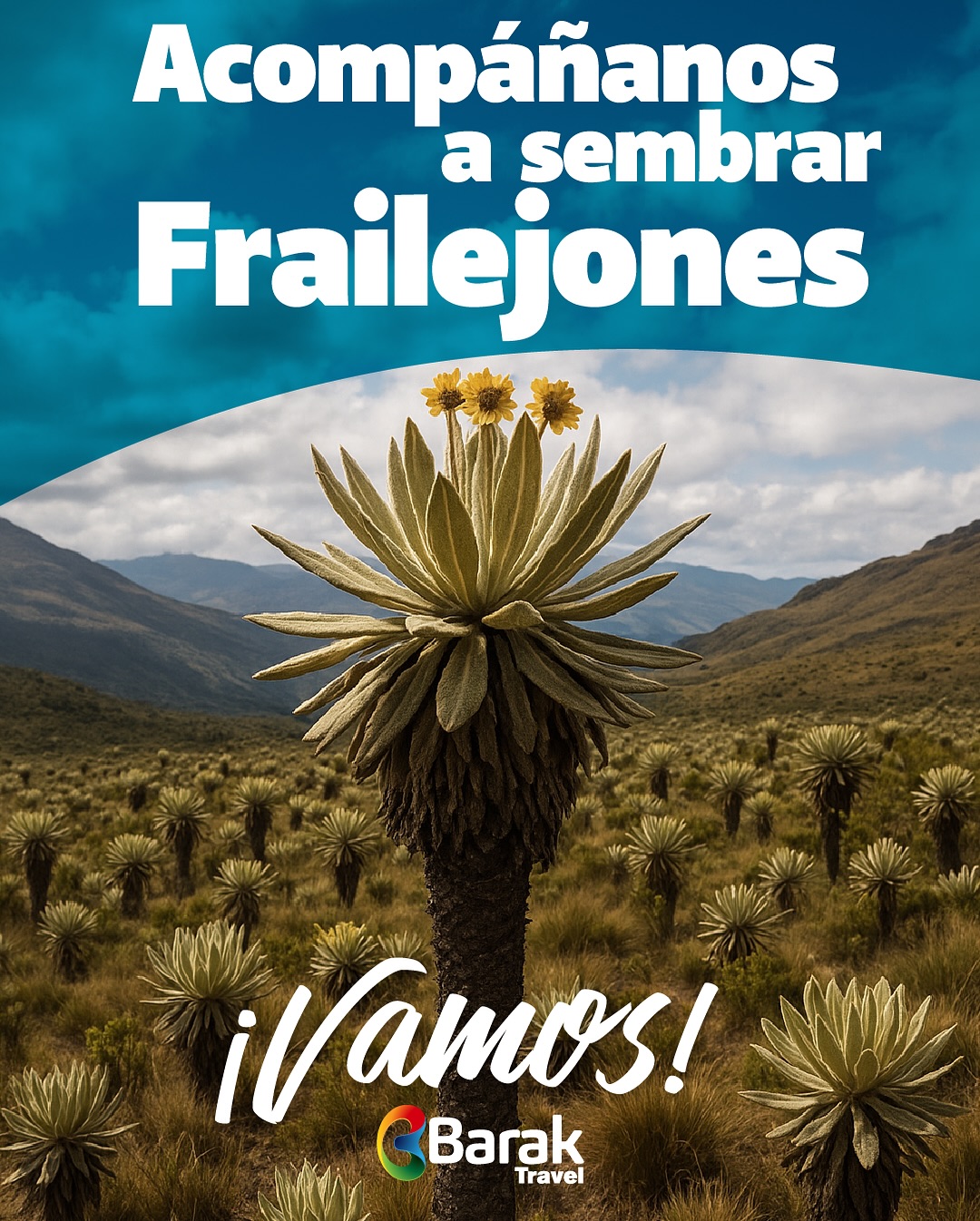 🌿✨ Los frailejones, guardianes del agua y la vida en los páramos, nos enseñan que cuidar la naturaleza es sembrar futuro 💧💛.
En cada hoja aterciopelada, en cada gota que captan, hay un regalo de Dios para nuestra tierra.
Ahora tú también puedes ser parte de esta experiencia única 🙌:
👣 Camina entre páramos mágicos
🌱 Siembra frailejones junto a un grupo increíble
💧 Aporta a la conservación del agua y la vida
❓ ¿Estás listo para una nueva aventura con Barak Travel sembrando frailejones cerca de Bogotá? Contáctanos para esta experiencia única