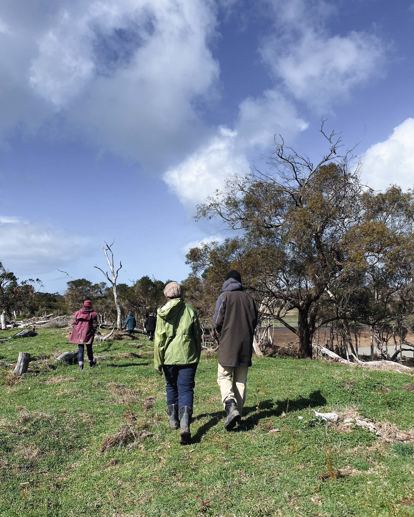 ☁️🌱 A bunch of keen volunteers braved the wind, wet, and chill this weekend to get plants in the ground alongside the new Inverloch to Wonthaggi Inland Trail.
We were rewarded with a tour of the site, campfire billy tea, and of course, the sheer satisfaction of rehabilitating wetlands and helping to create new habitat for local, threatened species.
This particular section of the off-road trail is a win for nature and a contribution to the eco-tourism appeal of the project.
During planning, a decision was made to reroute the proposed path to preserve an intact patch of remnant Bunurong coastal woodland that supports threatened species such as the Lace Monitor.
This outcome is a strong demonstration of council, community, and landholder collaboration and commitment to conservation of the environment that makes our coastal towns so special.
The trail project broke ground this time last year. Once complete, the 14km path will link the two towns and ultimately form part of the Gippsland Odyssey, a 700km trail connecting the whole region 🚴🏾
Thanks to @basscoastlandcarenetwork , Gippsland Threatened Species Action Group, @basscoastshire and a private landholder who share the vision and are leading the way with plantings along the trail.
#basscoast #basscoastshire #biodiversity #southgippsland #inverloch #wonthaggi #inverlochwonthaggiinlandtrail #biolink #wildlifecorridors #westernportbiosphere #phillipisland #cowes #gippslandodyssey #lacemonitor #gippslandthreatenedspeciesactiongroup