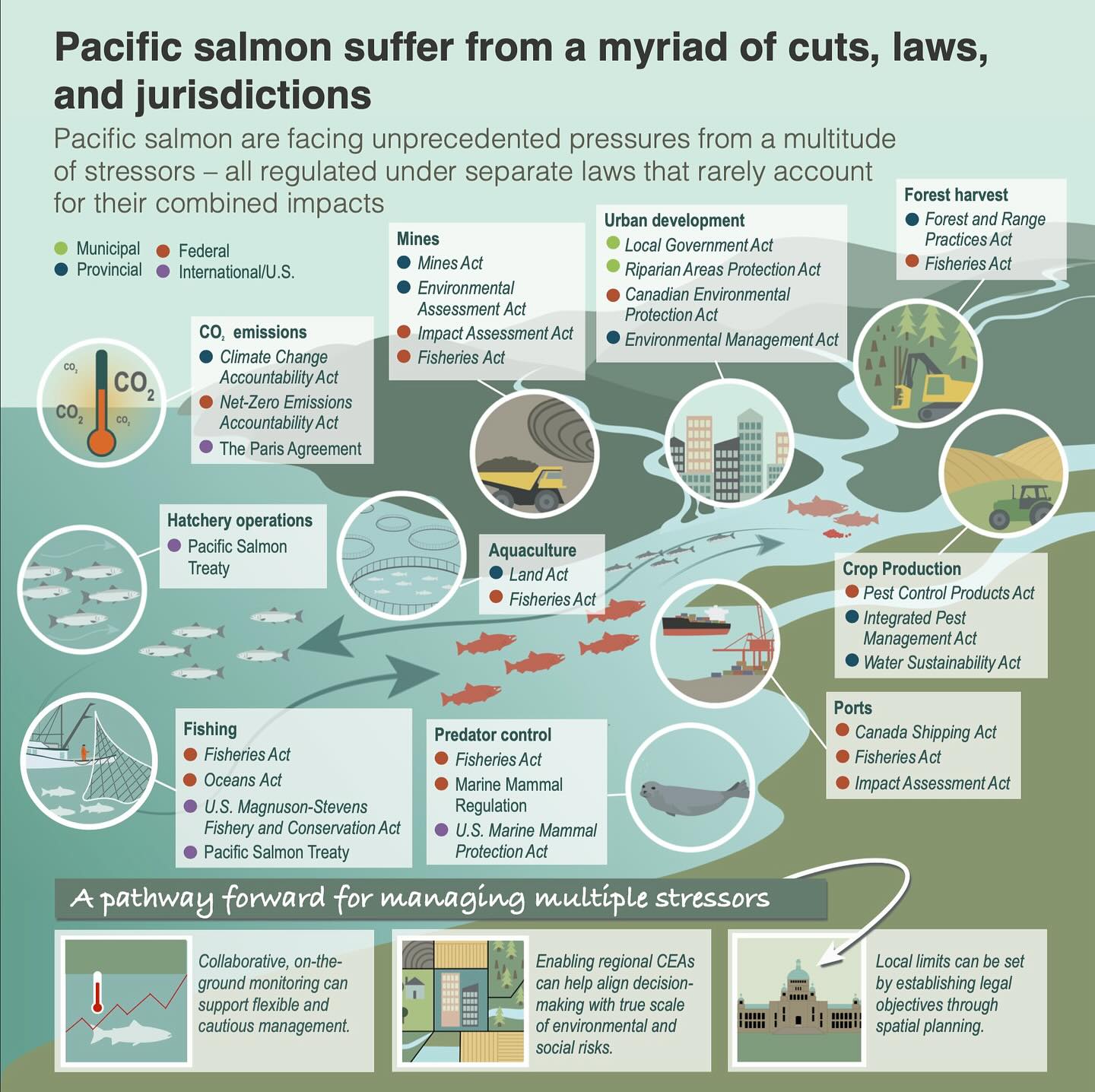 Pacific salmon are facing unprecedented pressures from a multitude of stressors - industrial forestry, mining, urban development, aquaculture, and climate change - all regulated under separate laws that rarely account for their combined impacts.
A new study published in FACETS by SWL PhD student Marta Ulaski and coauthors delves deeper into this issue, revealing how existing regulations are enabling incremental harm to salmon ecosystems without enforceable limits or coordinated oversight.
Synthesizing ecological science and policy analysis, the authors propose a cumulative effects management cycle that links monitoring, assessment, and governance, and identify five key opportunities for reform.
Amidst growing concern over legislation like federal Bill C-5 and provincial Bills 14 and 15 that fast track projects, this study highlights an urgent need for systemic reform in our policies to ensure sustainable and equitable stewardship of salmon-bearing watersheds.
This study was the result of a collaborative project involving 14 experts in science and policy from institutions that included Simon Fraser University, University of British Columbia, Fisheries and Oceans Canada, West Environmental Law, Central Coast Indigenous Resource Alliance and Polis Project of Ecological Governance of the University of Victoria as part of the Watershed Futures Initiative.
Head over to the link in our bio to read the whole thing!
.
.
.
#fisheries #newpaper #fishscience #cumulativeeffects #watersheds #policy #waterpolicy #britishcolumbia #canada #salmon #fisheriespolicy #environmentalpolicy #management