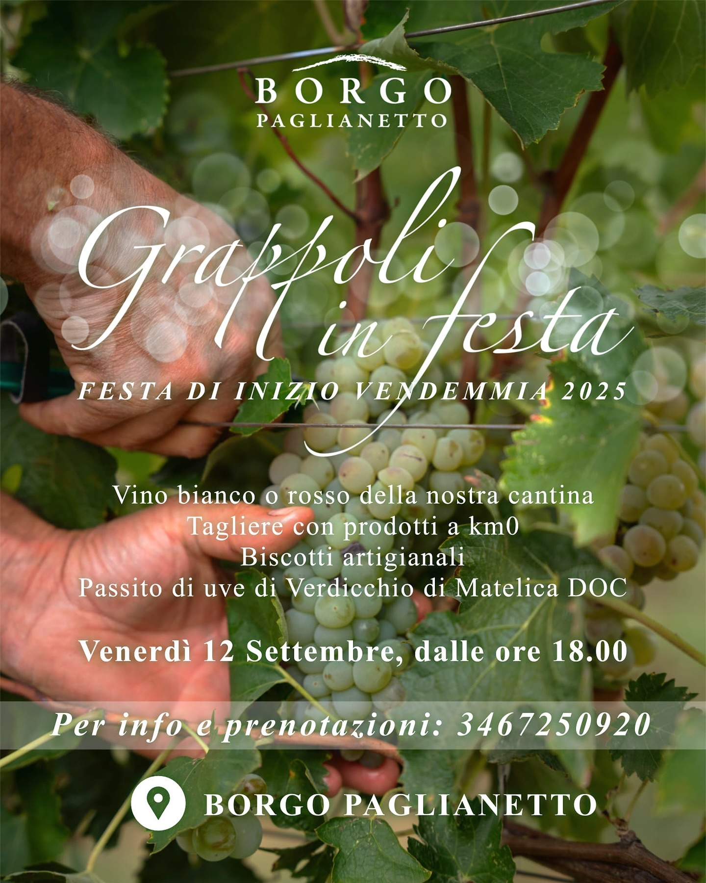 📅 Venerdì 12 settembre, dalle ore 18:00, ti invitiamo a vivere “Grappoli in festa”, la festa di inizio vendemmia di Borgo Paglianetto! 🍇✨
Nel cuore delle colline, ti aspetta un percorso di gusto:
🍷 Un calice di vino a scelta (bianco o rosso)
🥓Un tagliere di salumi e formaggi locali a km 0 (opzione veg su richiesta)
🍯 Un assaggio del nostro passito di Verdicchio di Matelica DOC
🍪 I biscotti artigianali della tradizione marchigiana
Un appuntamento speciale per celebrare il territorio, tra sapori autentici e convivialità. 🌿
⚠️ I posti sono limitati – Prenotazione obbligatoria!
👉 Riserva il tuo posto su: https://www.borgopaglianetto.com/degustazioni
📞 Per info: 346 7250920
✨ Questo è il kick-off della stagione autunnale: resta sintonizzato per scoprire i prossimi venerdì autunnali firmati Borgo Paglianetto! 🍁
📅 On Friday, September 12, from 6:00 p.m., we invite you to experience “Grappoli in festa”, the holiday of the beginning of the harvest of Borgo Paglianetto! 🍇✨
In the heart of the hills, a taste path awaits you:
🍷 A glass of wine of your choice (white or red)
🥓 A cutting board of local cold cuts and cheeses at km 0 (veg option on request)
🍯 A taste of passito from Verdicchio grapes from Matelica DOC
🍪 The artisan biscuits of the Marche tradition
A special appointment to celebrate the territory, between authentic flavors and conviviality. 🌿
⚠️ Seats are limited - Reservation required!
👉 Reserve your place on: https://www.borgopaglianetto.com/degustazioni
📞 For info: 346 7250920
✨ This is the kick-off of the season: stay tuned to discover the next autumn Fridays signed Borgo Paglianetto! 🍁
#borgopaglianetto #matelica #verdicchiodimatelica #winelove #madeinitaly🇮🇹 #biologico #organic #fivi #autumn🍁 #vendemmia #harvesthappiness