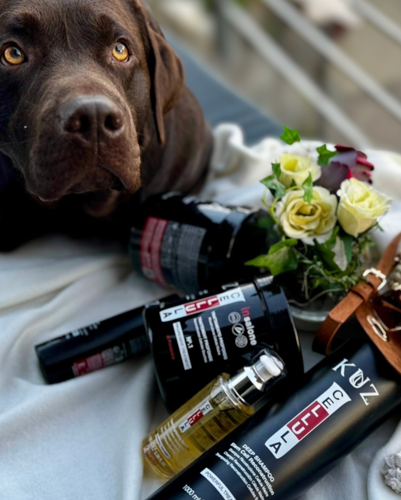 When your haircare is so flawless..🐾💛
#kuzdiprimavera #haircaredeluxe #haircareessentials #haircarespecialist #kuztoyourhair #madeinitaly