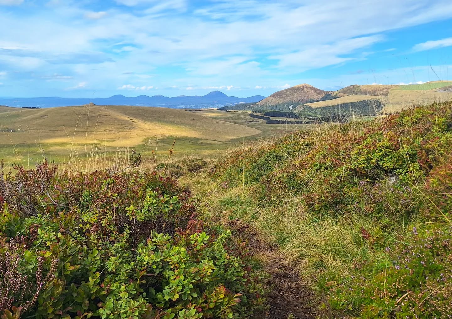 Here,
No plan,
Just enjoy the moment
#quelamontagneestbelle
#quelquepartenfrance
#sancy #trailrunning #momentoff #aura_focus_on #igersnature #igerspuydedome #profiterdechaqueinstant