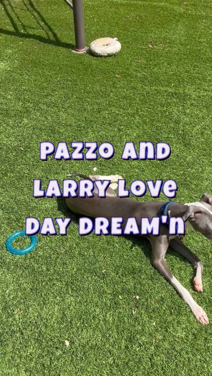 At #kentvet we make the most of the sunshine. What a beautiful day!