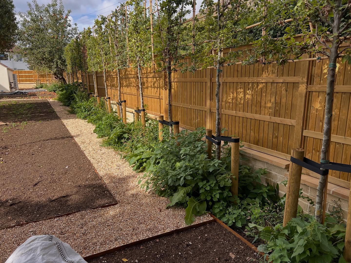 Before & After 📸
✨ Just one of our many garden maintenance contract jobs today! 🌱 This freshly planted bed at a new build was starting to get taken over by weeds, so we stepped in to give it the care it needed.
🌳 With young trees trying to establish themselves, it’s important to keep on top of weeds early on – otherwise they’ll compete for water, nutrients, and light. Regular maintenance like this makes all the difference in helping new planting thrive and giving gardens the best possible start.
Another happy customer, and another space ready to flourish! 💪🍃
#GardenMaintenance #WeedControl #HealthyGardens #NewBuildGarden #TreeCare #GardenCare