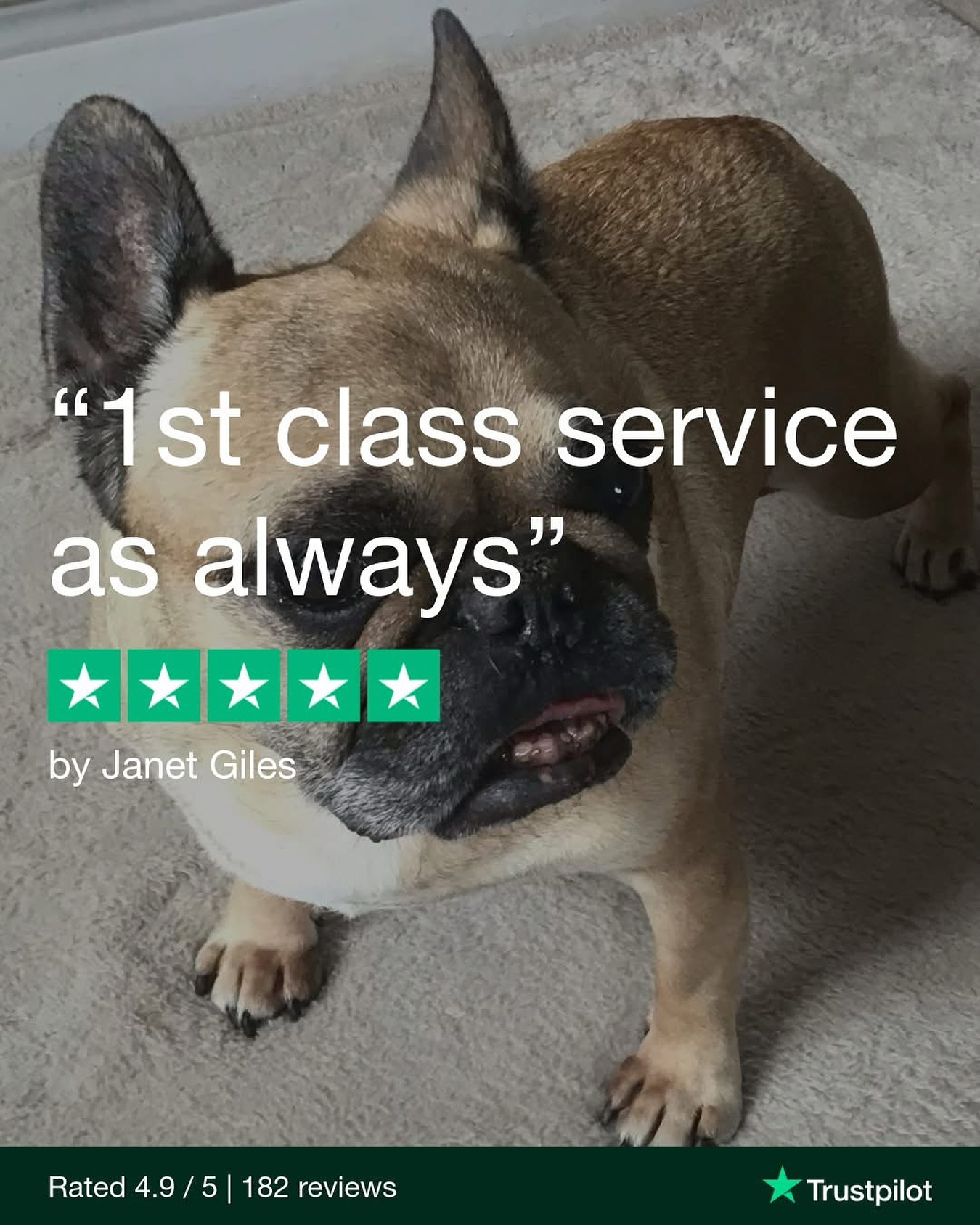 Kind Words, Kind Community 💜
Janet, thank you for reminding us that natural really is best.
From our team to our OxyPet families, we’re all here to help make life better for our pets.
We’re so happy to have you and your pup with us.
📍 Get notified when we’re back in stock: oxypet.co.uk/shop
#HealthyDogs #DogWellness #PetParents #DogsOfInstagram #OxyPet #PetCommunity #Chihuahuas #DogHealth #FlatFacedBreeds #PetWellness #HealthyDog #DogCareTips #OxyPet #PetEducation #Dogs #FrenchBulldogs #BoxerDogs #Pugs #EnglishBulldogs #BrachycephalicDogs