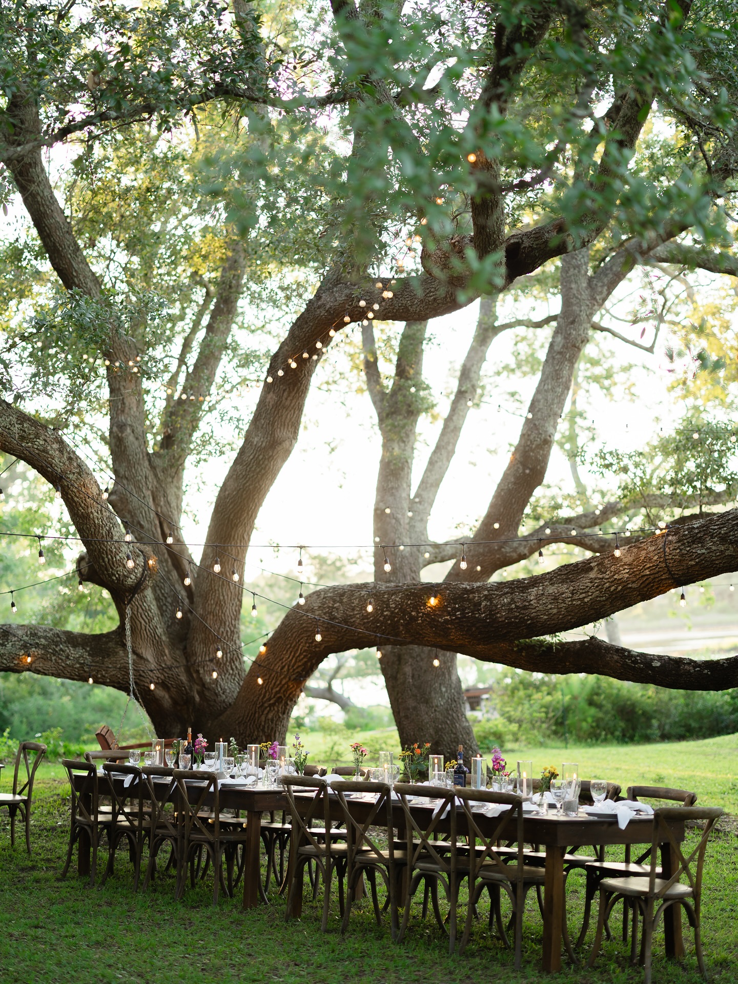 The intimate backyard reception of my dreams ✨ One of the best parts of being invited into a celebration is getting to capture the way it felt to be there. It’s in the details of the setup, but also the in between moments between friends and family. The quick hugs and glances that hold so much.
Planner - @slovesplanning
Florals - @amongthewildflowersfloral
Videographer - @willowtreememories.nc
Reception Rentals - @partysuppliersandrentals
Hair & Makeup - @goldengirlsims
Cake - @abbylainesbaking
#raleighweddingphotographer
#wilmingtonweddingphotographer
#eastcoastweddingphotographer #northcarolinaweddingphotographer
#ncweddingphotographer #wilmingtonwedding #2026bride