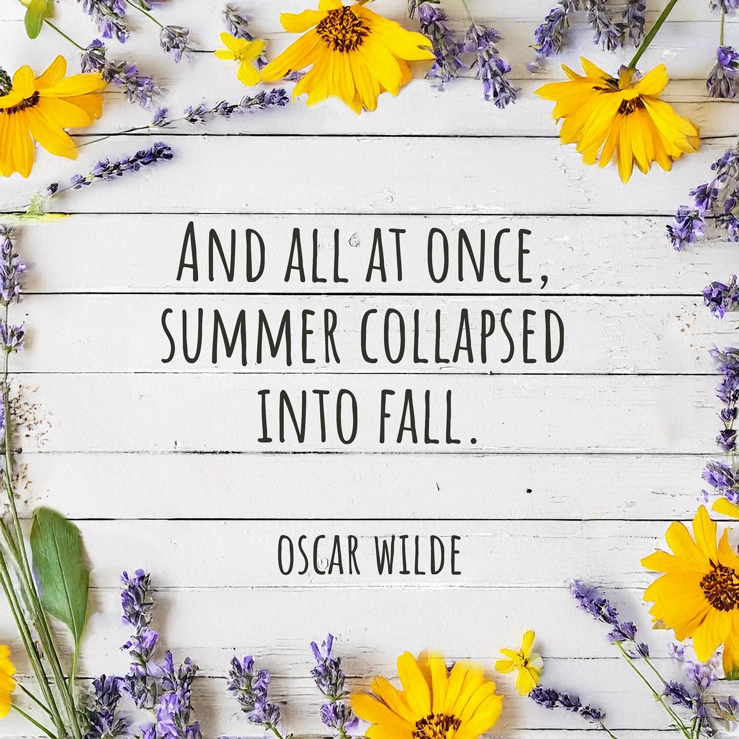 🍁🍂 Autumn 
#fall #autumn #óscarwilde #autumnquotes #fallquotes #autumnvibes🍁 #fallseason