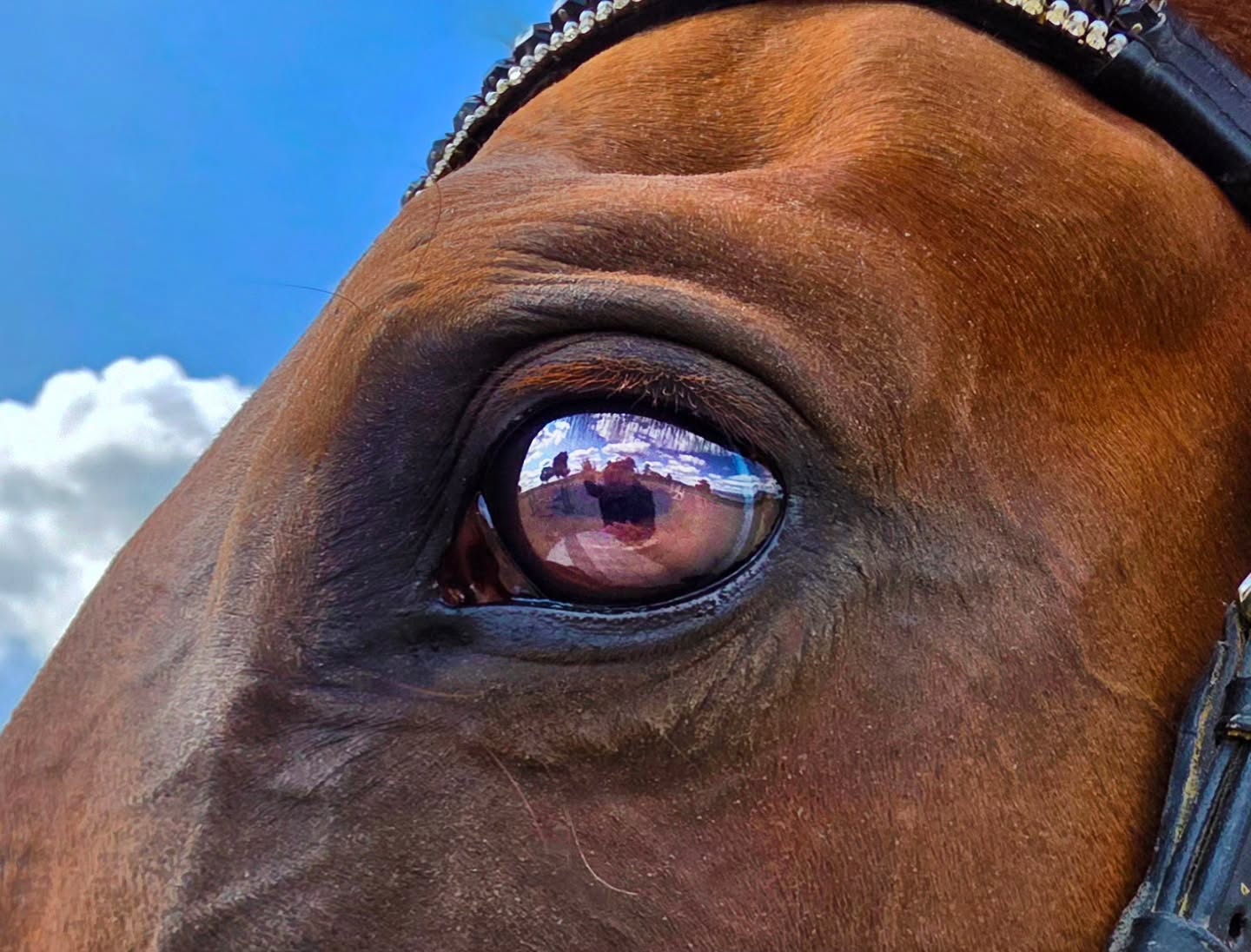 My favorite kind of mirror. 😍🪞👋