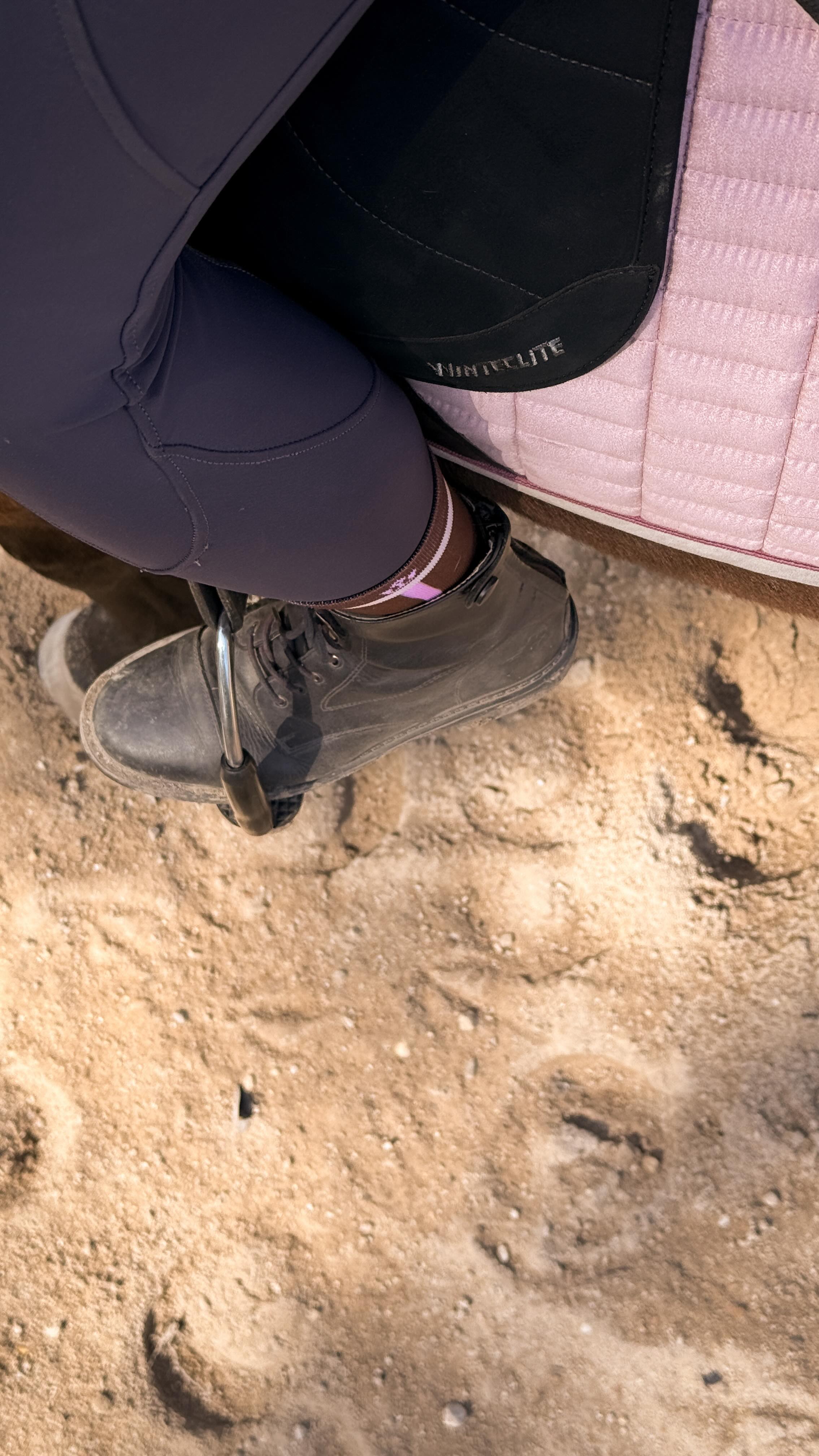Just me, my horse, and a slow strut in the new Reine Axis Stride Socks ✨
#reineatelier #equestrianstyle #luxuryequestrian #ridewithreine #everydayluxe #southafrica #localluxury #proudlysouthafrican