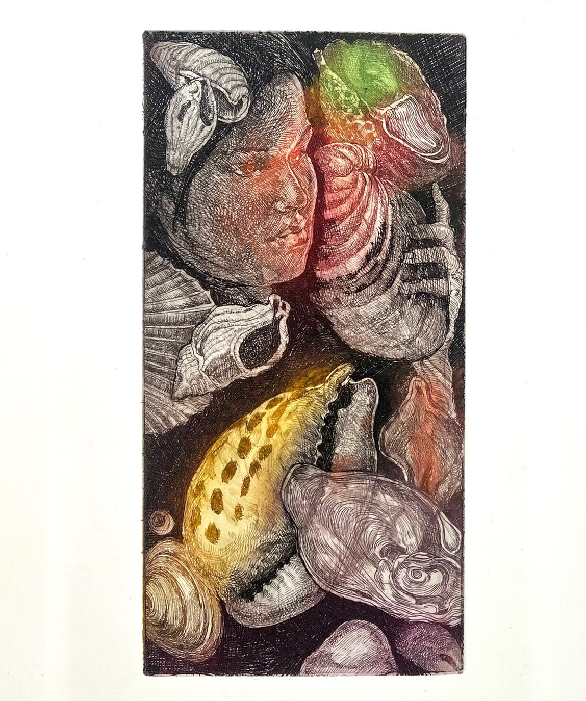 Tweede staat: “Schelpenmeisje” (Et Dieu crea la femme), kleurenets, 16cm-8cm, 2025. #lifedrawing #seashells #insectsartprints #deathandthemaiden #erosandthanatos #printmaking #etching #figuredrawing #classicdrawing #malefigureprints #blackandwhitedrawing #engraving #largeetching #penandink #quickstudies #malenudedrawings #portraitdrawings #portraitcommission #landscapedrawing #seascapedrawings #beachscenesart #selfportrait #fromlifeonly #stopusingphotographs #botanicalprints