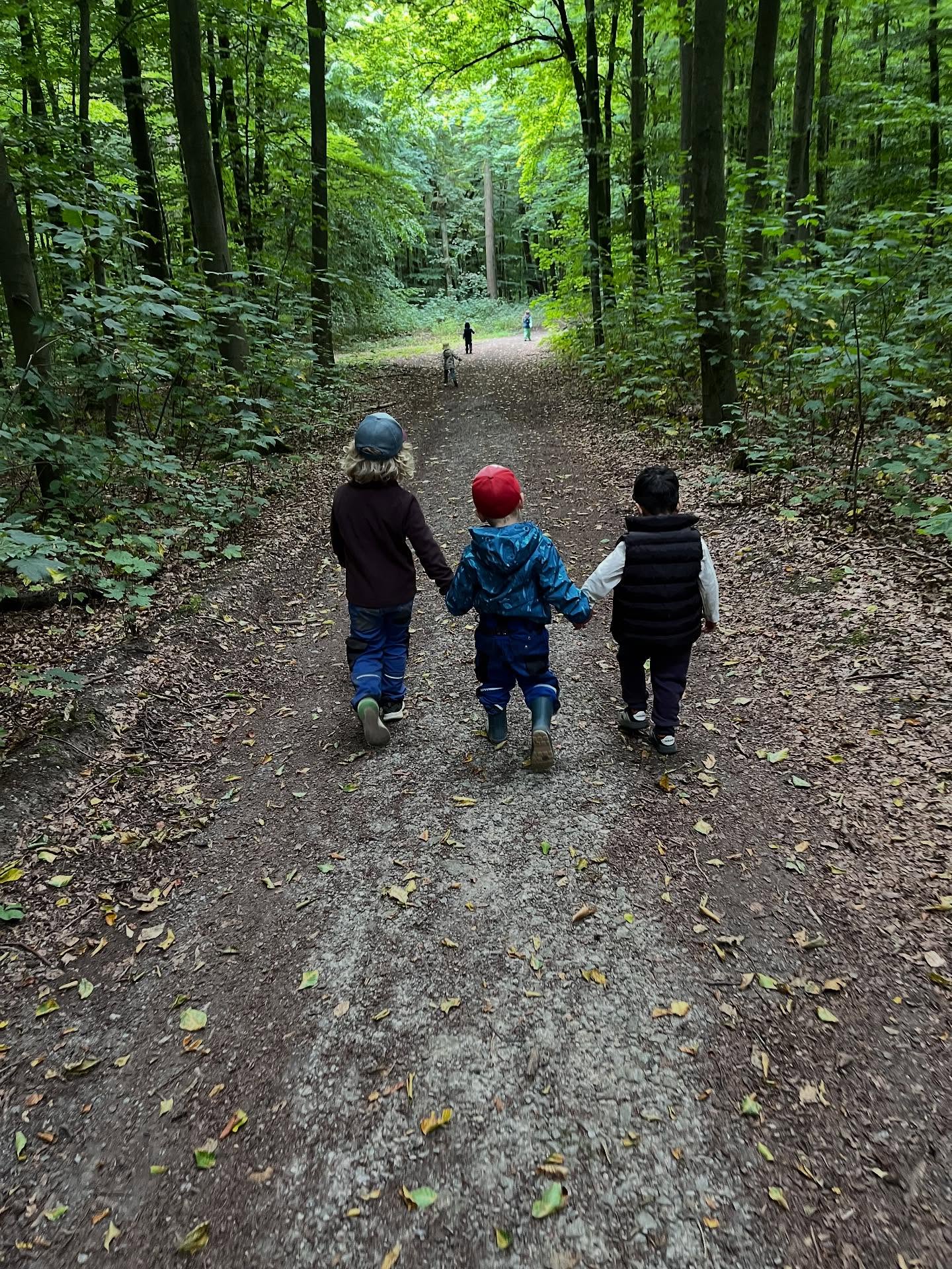 Einblicke aus den letzten Wochen: Die Eingewöhnungen sind zum größten Teil schon abgeschlossen. Die neuen Käferkinder finden sich schon gut zurecht und lernen gerade den Wald kennen.
#wald #waldkindergartenliebe #waldkindergarten #waldkind #waldkita #kinder #vlotho
