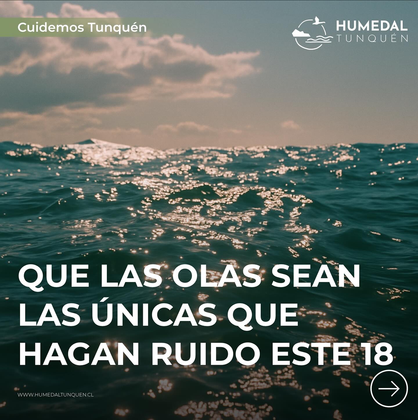 Este 18 de septiembre, el Humedal de Tunquén nos recibe a todos 🌊🕊️.
Disfruta de su belleza con respeto y responsabilidad: cumple las normas, evita multas y ayúdanos a proteger a las aves, el agua y la vida que lo habita. 💚
#HumedalTunquén #CuidemosTunquén #FiestasPatrias
