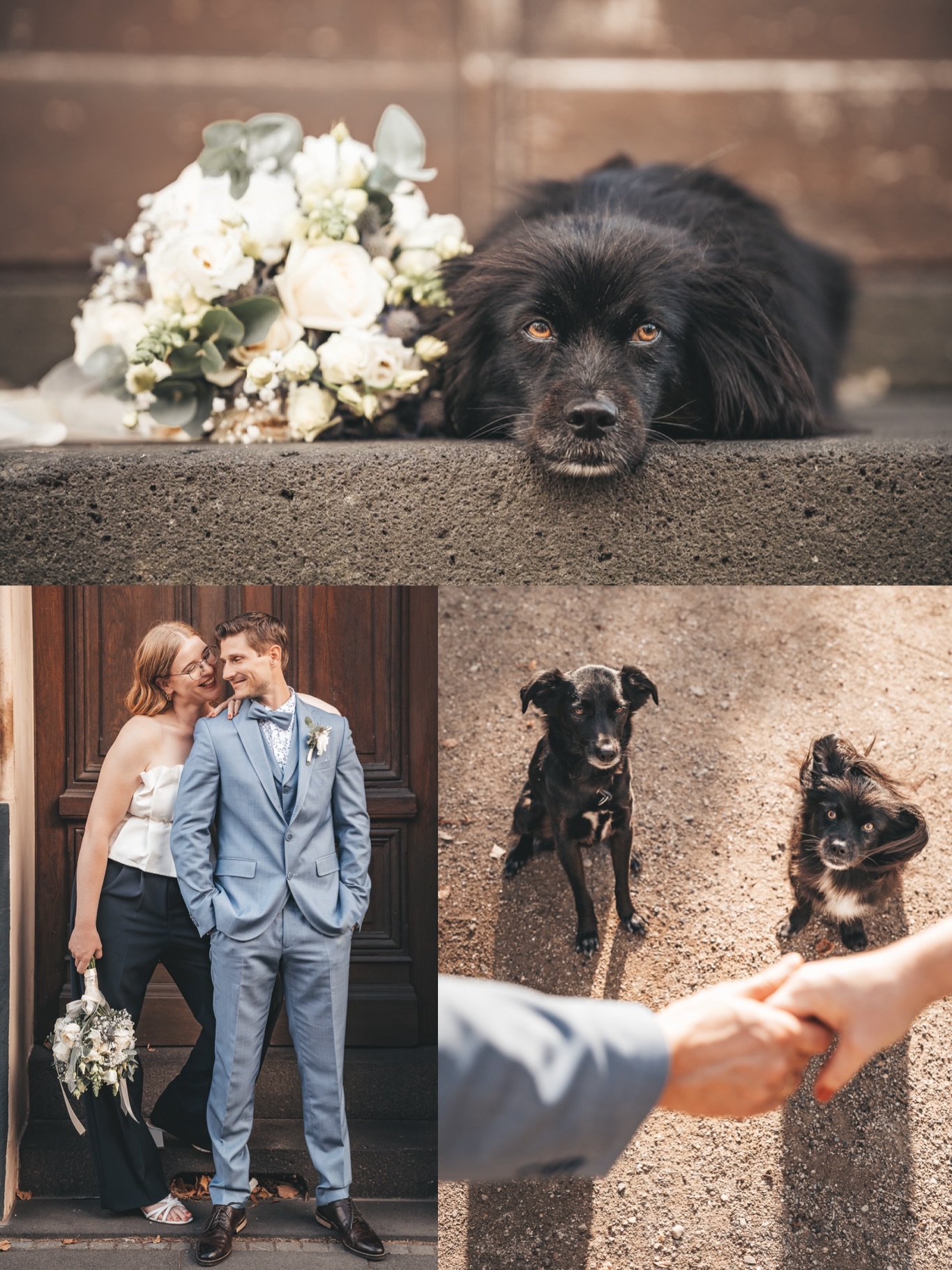 Am Freitag durfte ich die standesamtliche Hochzeit von Tizi & David begleiten – und ihre beiden Hunde waren selbstverständlich mit dabei🫶🏻 Beim Brautpaar-Fotoshooting haben die zwei trotz der ganzen Aufregung alles ganz wunderbar gemeistert und für so viele schöne Momente gesorgt😍
Hunde auf Hochzeiten sind für mich immer ein ganz besonderes Highlight. Ich freue mich sehr, wenn sie mit eingebunden werden – natürlich immer so, dass es für den Hund entspannt bleibt. Gerne berate ich meine Paare, wie das am besten klappt, und gemeinsam finden wir immer eine Lösung, die für alle passt.
#weddingdog #hochzeitsfotografköln #hochzeitsfotografnrw
