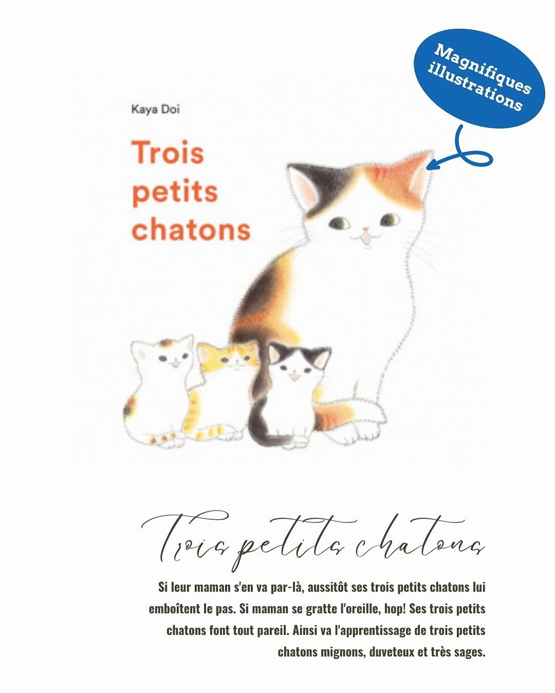 Nouveautés du secteur jeunesse ✨
Les rayons se remplissent de belles découvertes pour tous les âges:
📚 Les dernières aventures de Maëlys vous emmènent cette fois-ci dans le canton de Fribourg
😄 Les inimitables Ducobu et les incontournables Max et Lili débarquent en force à la bibliothèque
🌙 Pour les plus jeunes, de tendres albums autour du sommeil, de l’apprentissage et des liens à créer en famille
🧙♂️ Et pour les ados, des sagas fantastiques, mythologiques ou pleines de rebondissements vous attendent
Ne tardez pas à venir les découvrir et à les emprunter ✨
#LectureJeunesse #Bibliothèque #NouveautésLivres #PassionLecture #BibliothèqueLaNeuveville