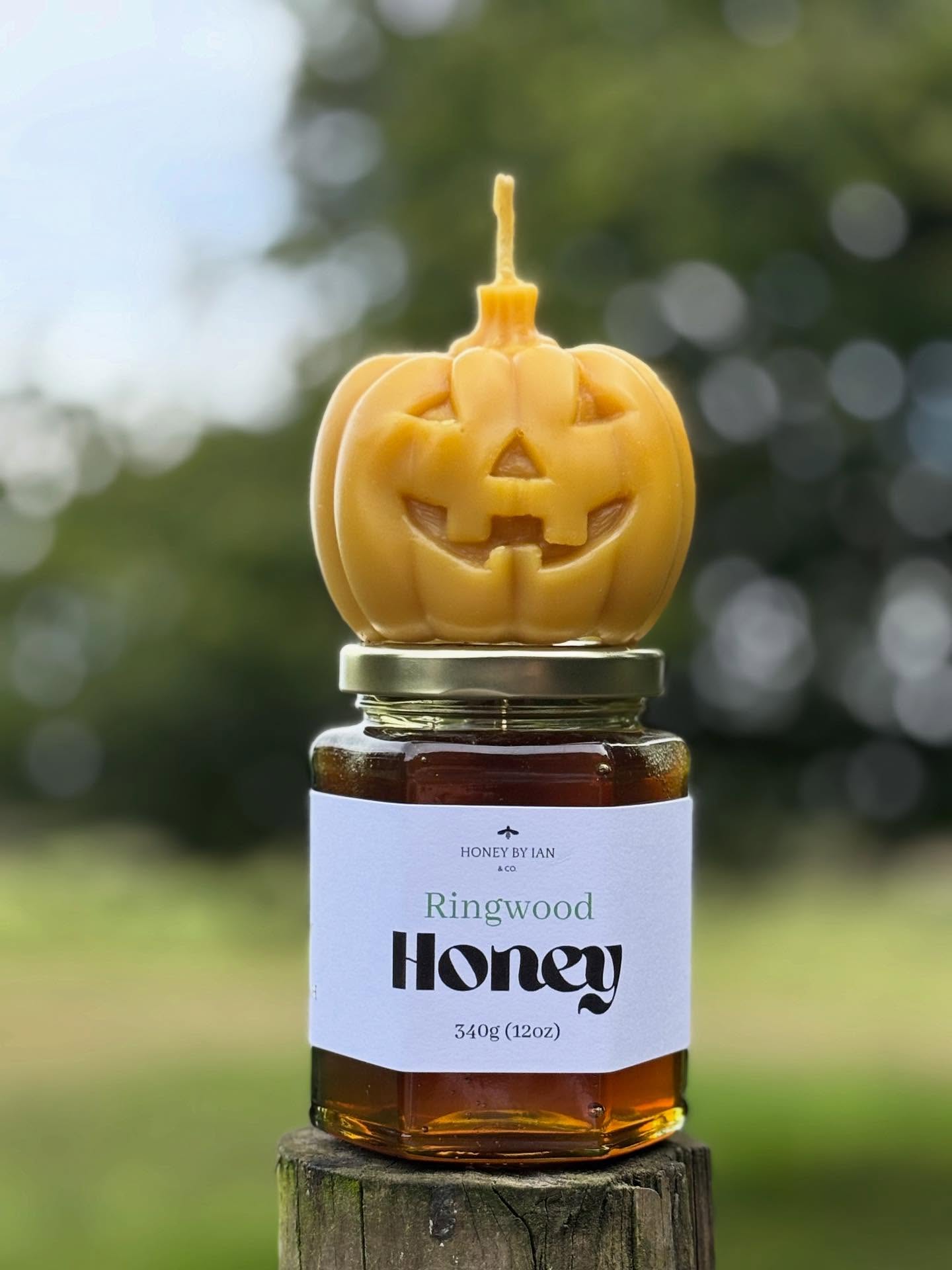 🎃 There’s definitely a whiff of autumn in the air now here in Dorset. Our thoughts turn to making the house cosy for winter with comfort food, snuggly blankets and candles to light up those evenings.
🎃 Did you know that beeswax candles are one of the healthiest candles to burn? Beeswax burns with a natural sweet scent, improving the air quality and can be good for people with respiratory problems, allergies and asthma.
🎃 This week we’ve been busy making pumpkins to go out in our Autumn boxes. You can buy them separately or with a jar of our freshly harvested honey; you choose the size, with a drizzler or without, gift wrapped or not…the choice is yours! 🎃🍯🐝 🎃🍯🐝
#beeswax #beekeeping #autumn #harvestfestival #harvest #honey