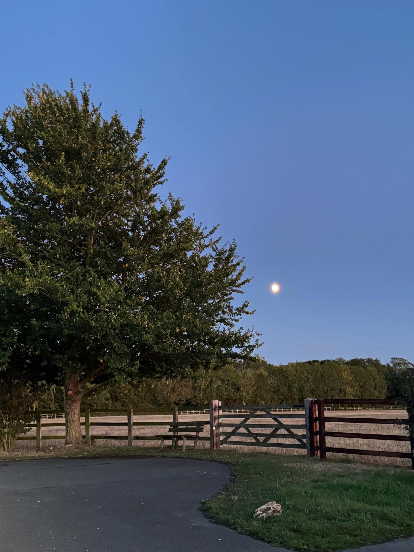 Leaving the Overbury class last night ….. moon and sunset. #autumnishere #overburyyoga