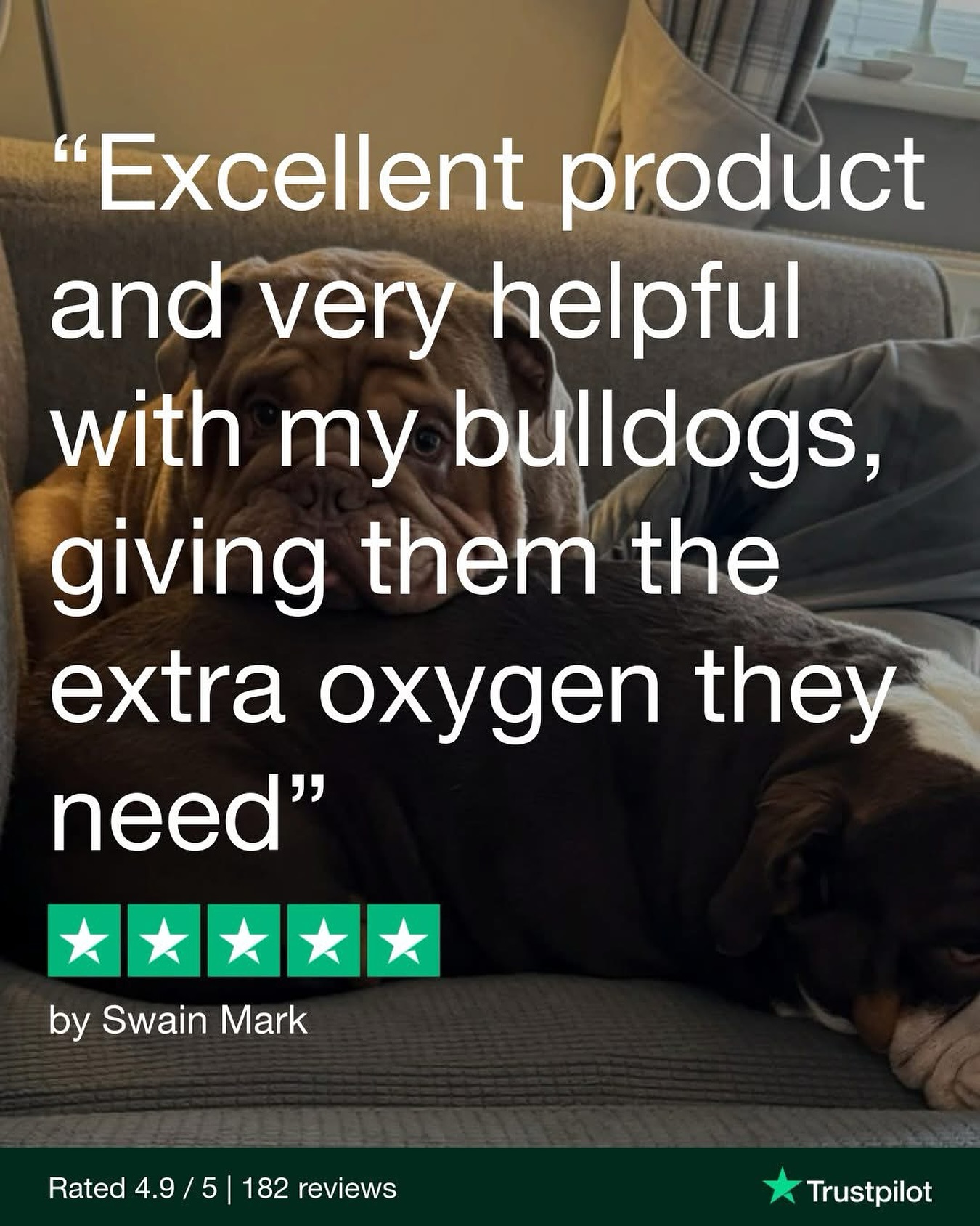 Bulldog Boost 💜
Thank you to Mark for this brilliant review! His Bulldogs are now getting the daily oxygen boost they need - helping them breathe better and feel better.
Our OxyPet community is full of stories just like this. Simple changes. Big impact.
📍 Get notified for when we are back in stock: oxypet.co.uk
The truth is pets who have super hydration will have an advantage and easier life.
#HealthyDogs #DogWellness #PetParents #DogsOfInstagram #OxyPet #PetCommunity #Chihuahuas #DogHealth #FlatFacedBreeds #PetWellness #HealthyDog #DogCareTips #OxyPet #PetEducation #Dogs #FrenchBulldogs #BoxerDogs #Pugs #EnglishBulldogs #BrachycephalicDogs