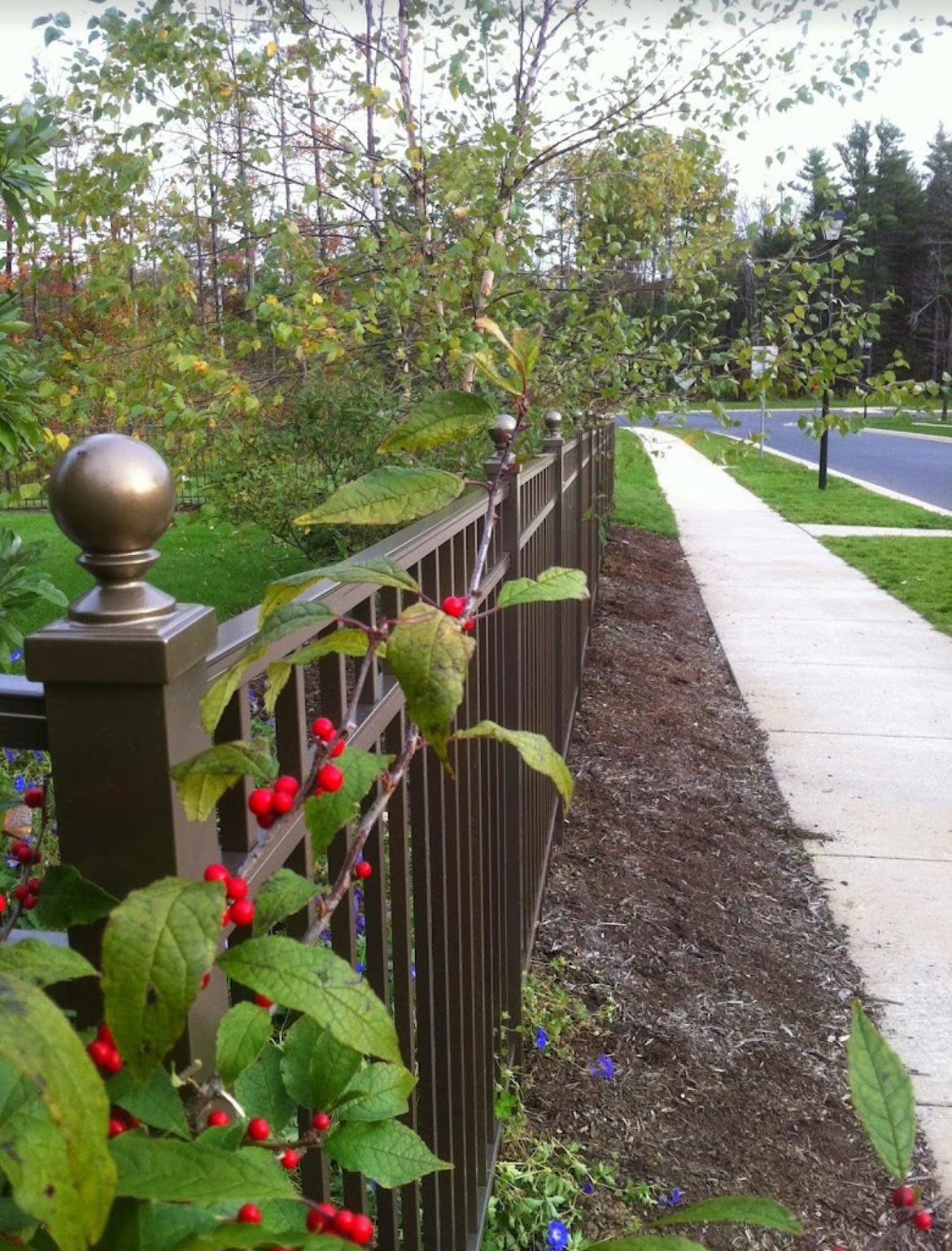 We are proud to announce that Yonder Mountain Conservation Co. has won gold in Centre County’s Favorite Fencing 2025 for the second year in a row as well as bronze in Centre County’s Favorite Landscaping! Thank you to all our loyal customers who value our expertise and craftsmanship.
We look forward to continuing to provide Centre County with the best quality, service, and of course, fences!
Please contact us at yondermtn@verizon.net to discuss your fencing and landscaping needs!
#CentreCountyFavorites #fencing #landscapingservices #gold #bronze