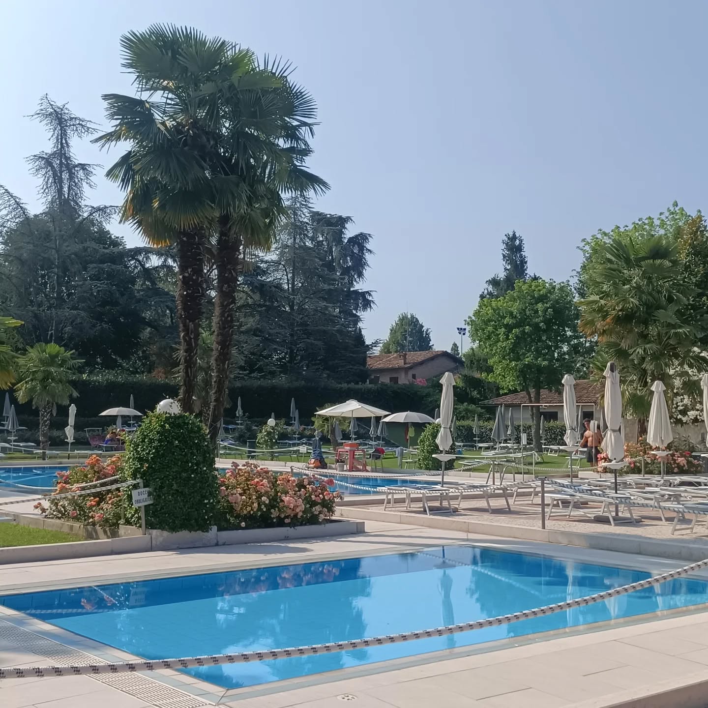 ☀️ Ultimi giorni d’estate, ultime occasioni da vivere insieme: le #piscinegreenclub sono ancora aperte per quest'ultima settimana! 🌊✨
👉 Fino a venerdì 12/09 apertura pomeridiana 14.00 – 19.30
🎟️ingresso speciale a solo 9€
👉 Sabato 13 e domenica 14/09 aperti tutto il giorno 9.30 – 19.30
🎫 promo ingresso 20€ singolo/35€ ombrellone + 2 lettini
✅ Ingresso libero, senza obbligo di prenotazione online (fino esaurimento posti).
🌴 Non lasciarti sfuggire gli ultimi raggi di sole e salutiamo insieme l’estate nel modo più bello! 💦☀️
#estate2025 #piscina #relax #ultimigiorni #sole #estategreenclub #EstateInCittà #estateinpiscina #piscinaestiva #piscinaamodena #settembre