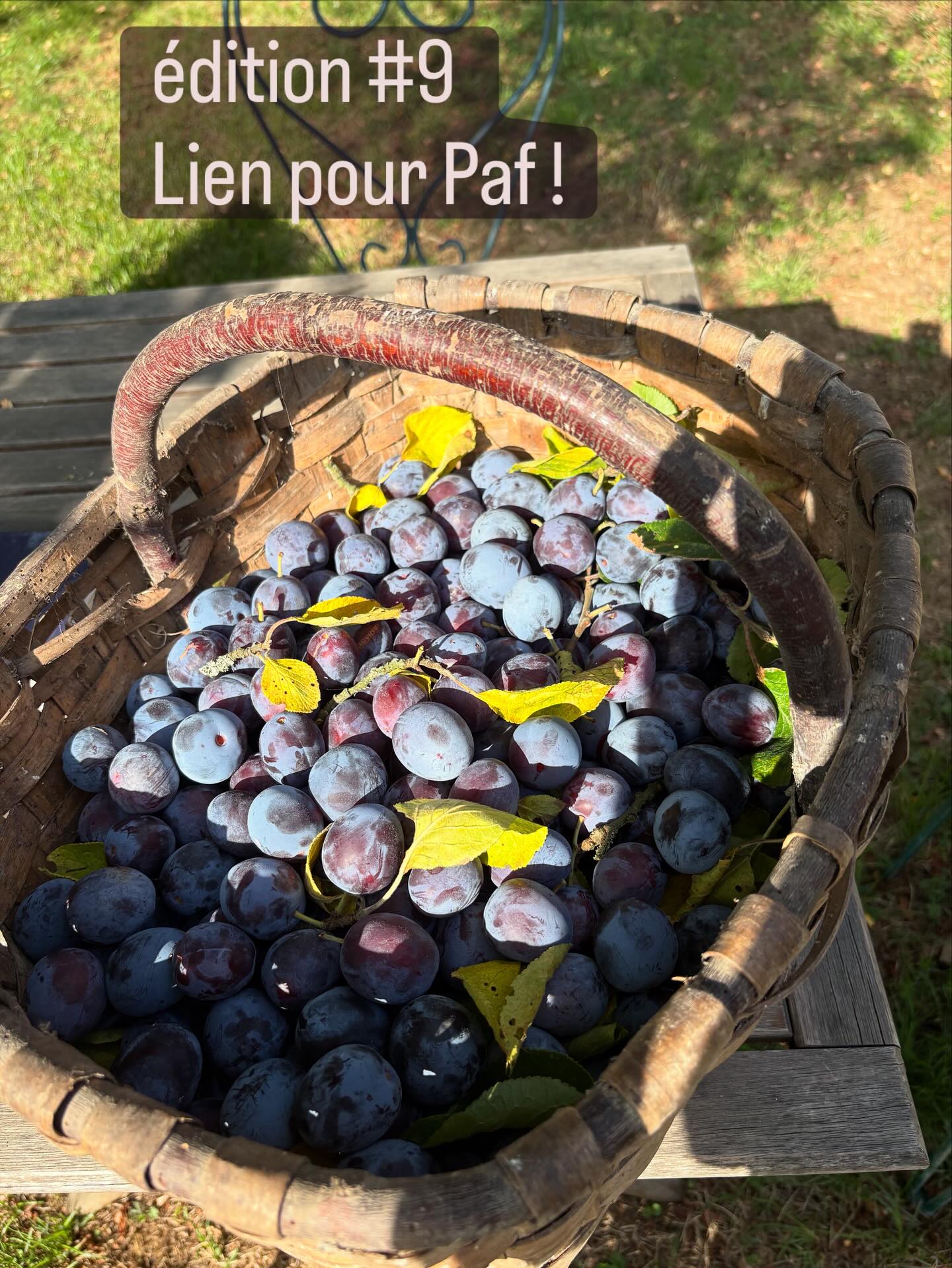 Le lien !
https://my.weezevent.com/des-pas-et-des-plats-9-20-septembre-2025