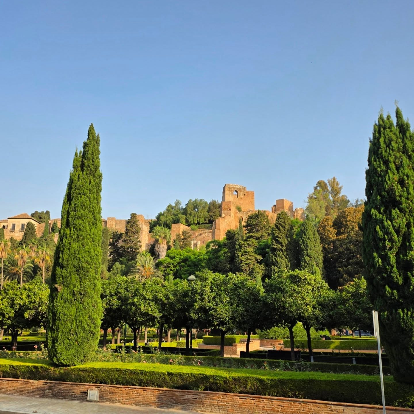 📍 Jardines de Pedro Luis Alonso, con la Alcazaba de Málaga al fondo 🌟
.
.
.
.
#lovingmalaga #malaga #malagalife #malagaturismo #málaga #malagatoday #andalucia #ckmalagalife #ok_malaga #ok_andalucia #spain #estaes_malaga #visitspain #alcazaba #costadelsol #ok_spain #photosofmalaga #malagaconacento #spain_all_pics #travel #travelphotography #enamoratedemalaga #latildedemalaga #malagaconacento #alcazabademálaga