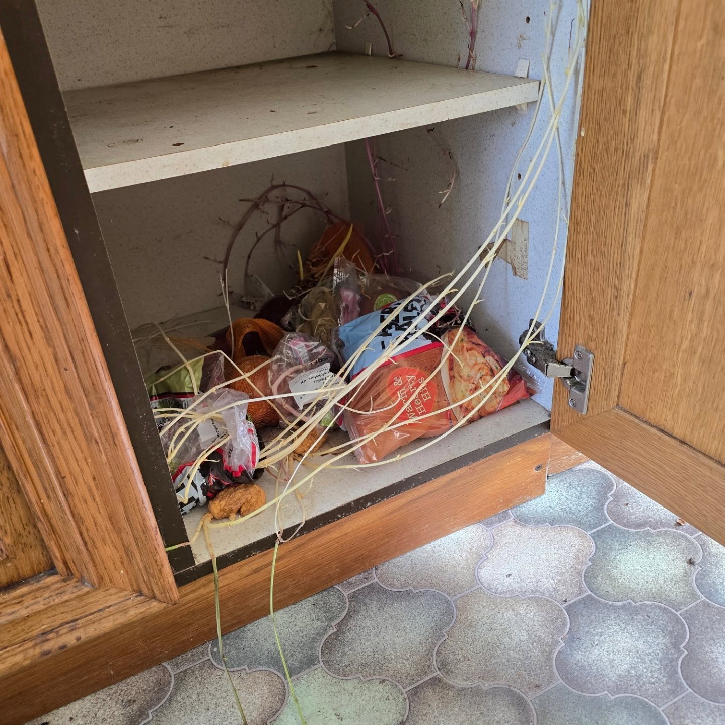After 20 years in the trade, we thought we’d seen it all… Then we opened a cupboard in a derelict property to find Mr Potato Head starting a new life as a houseplant. 🥔🌱
At least he doesn’t need damp proofing – just a bag of compost! 😂
#PropertyInspections #DampProofing #FloodRestoration #FireAndFlood #InsuranceReinstatement #TimberPreservation #BuildingRestoration #WaterDamage #MouldRemediation #RestorationExperts #SurveyorsLife #ConstructionHumour #PreservationWorks #SafeHandsWithJDN
