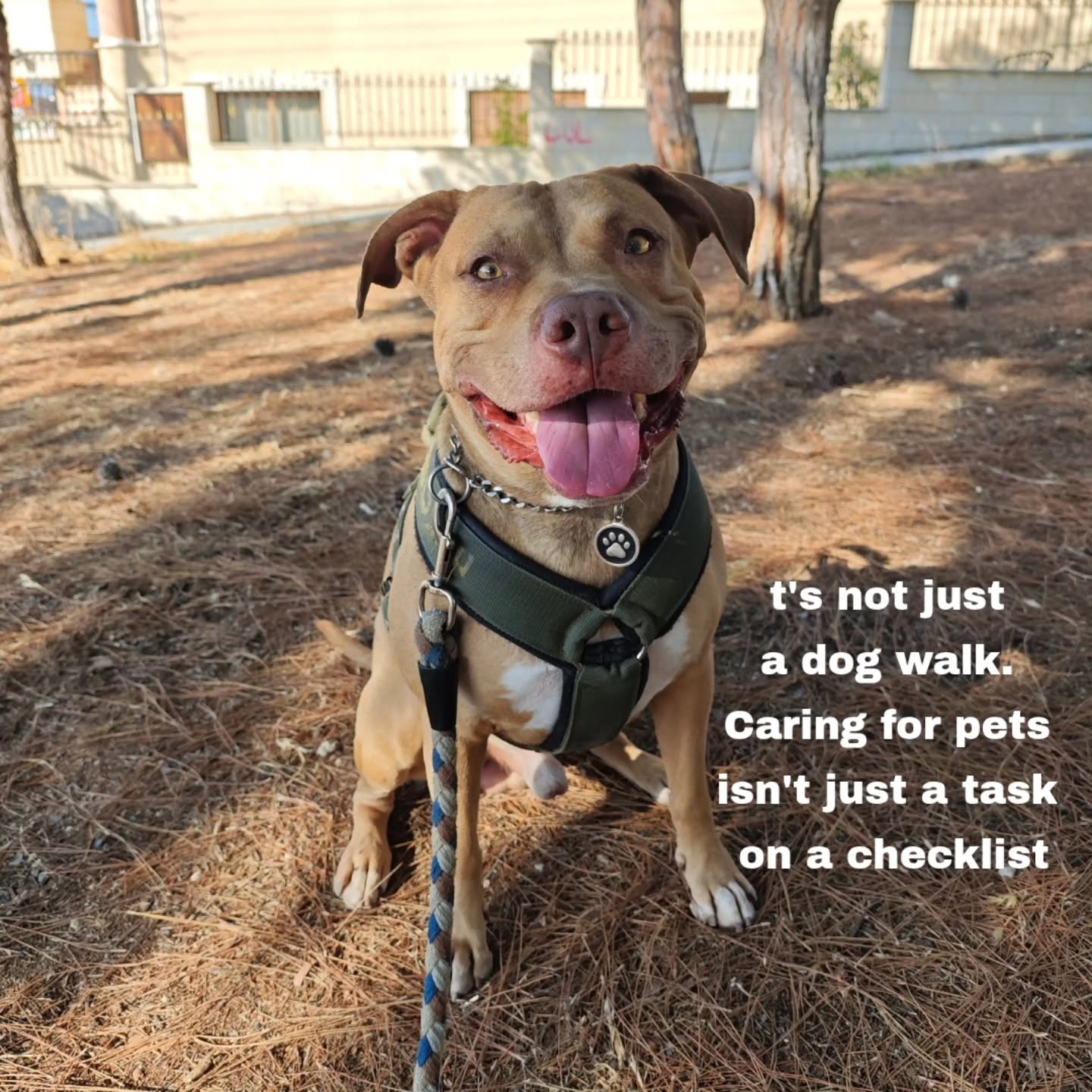 When you choose us, you're not just getting someone to hold the leash-you're getting trained, experienced pet pros who put your dog's happiness and safety first.
With our service, every visit is handled with professionalism, attention to
detail, and a focus on your pet's well-being. Because caring for pets isn't just a task on a checklist-it's a responsibility we take to heart.