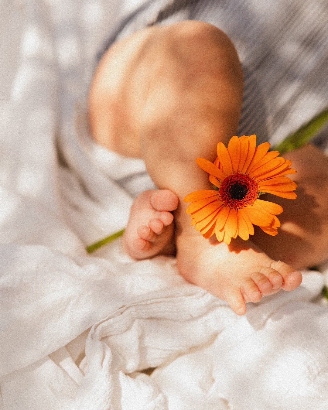 Carte postale d’un été en famille… 🌻
Je vous partage les dernières séances de la saison… et il m’en reste encore beaucoup à vous dévoiler.
Je ne m’en lasse pas !
#seancephotofamille #photographefamille #photographer #photographeenfant #photographerslife #photographenimes #familyportrait #shootingfamille #family #reportagephotofamille #photographenimes #photographemontpellier #nimes
