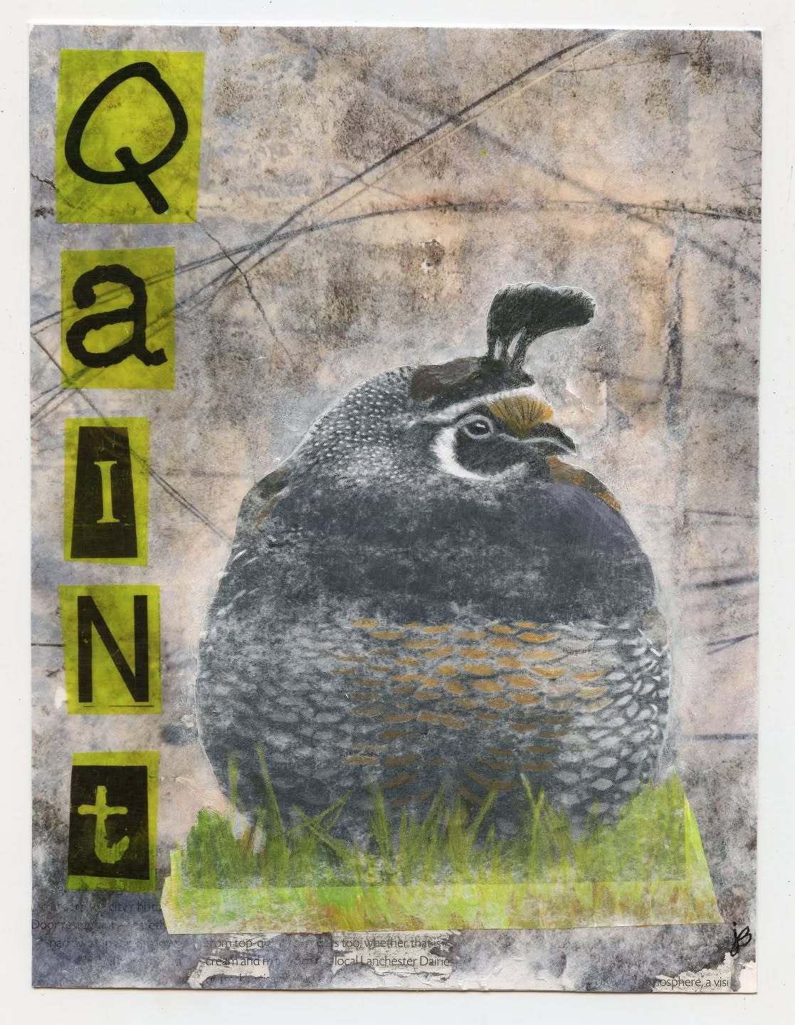 Image transfer heaven! This was not without challenges! I learned two new techniques in @birgit_koopsen lesson. Painting before image transferring, and letter transfers on to clear packing tape, then painting behind the tape prior to gluing down.
Loved this lesson, but I had huge air bubbles underneath the quail which equates to blank white spaces after the image transfer! I'm glad the fat bird covered it up. Haha the bird was very cloudy from paper I didn't remove, so I use clear gesso and pencil crayons to bring out the details like the eye and the grass on the bottom. I had a ton of fun making this. The background image is a photo I took of a rock.
#wanderlust25class #eaclasses #everythingartuk
#arthabit #artjournal #artjournaling #dailypainting #artastherapy #doitfortheprocess #imadearttoday #carveouttimeforart #createeveryday #createarteveryday #makearteveryday #mixedmedia #mixedmediaart #mixedmediaartjournal #mixedmediaabstract #mixedmediajournal #makeart #mixedmediaartist #abstractartist