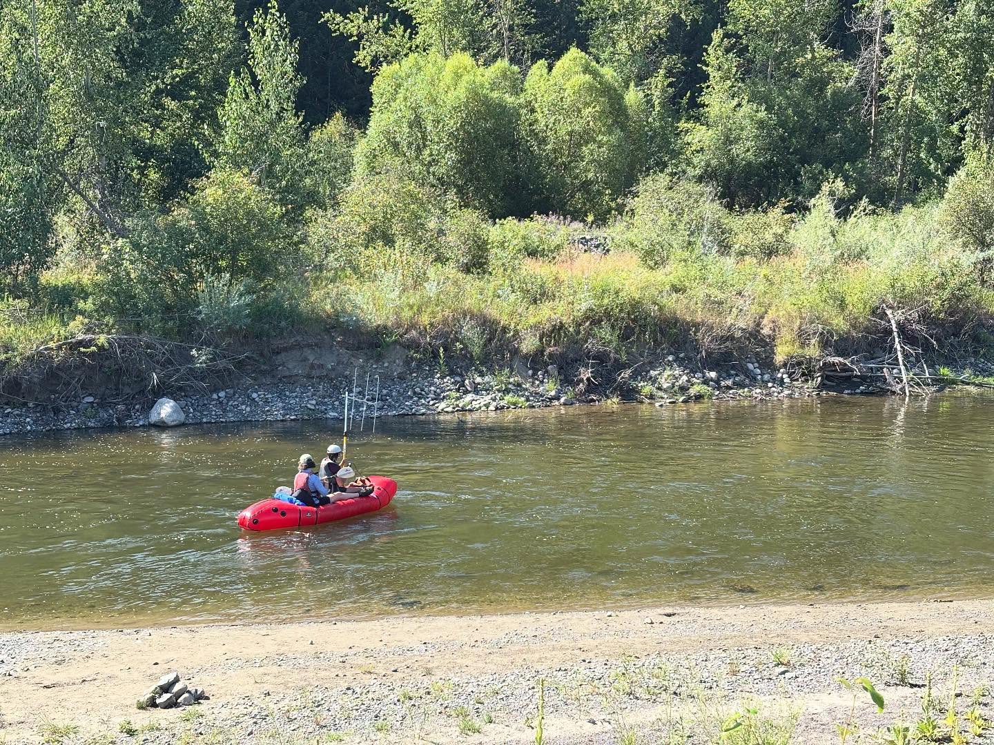 Looking for ET or looking for fish?
With all of our temperature tags now out in the wild, our Nicola field teams are busy trying to track and retrieve these tags. These tags have been put on adult Chinook in the watershed, and record the stream temperatures that these fish experience as they migrate to their spawning grounds.
Floating, walking, driving, and (very occasionally) helicoptering around the watershed, SWL lab members use the antennae pictured to pick up on the “pings” that these tags emit. After that, it’s up to the snorkeller to find exactly where the tag is. It’s like geocaching at level 1000!
If you happen to be in the Nicola watershed and stumble across a tag, please reach out to NicolaSalmonTag@gmail.com for a reward and our eternal gratitude 🧚🐟🫵🙏
.
.
.
#antennae #fishtracking #nicola #pings #telemetry #radiotags #reward