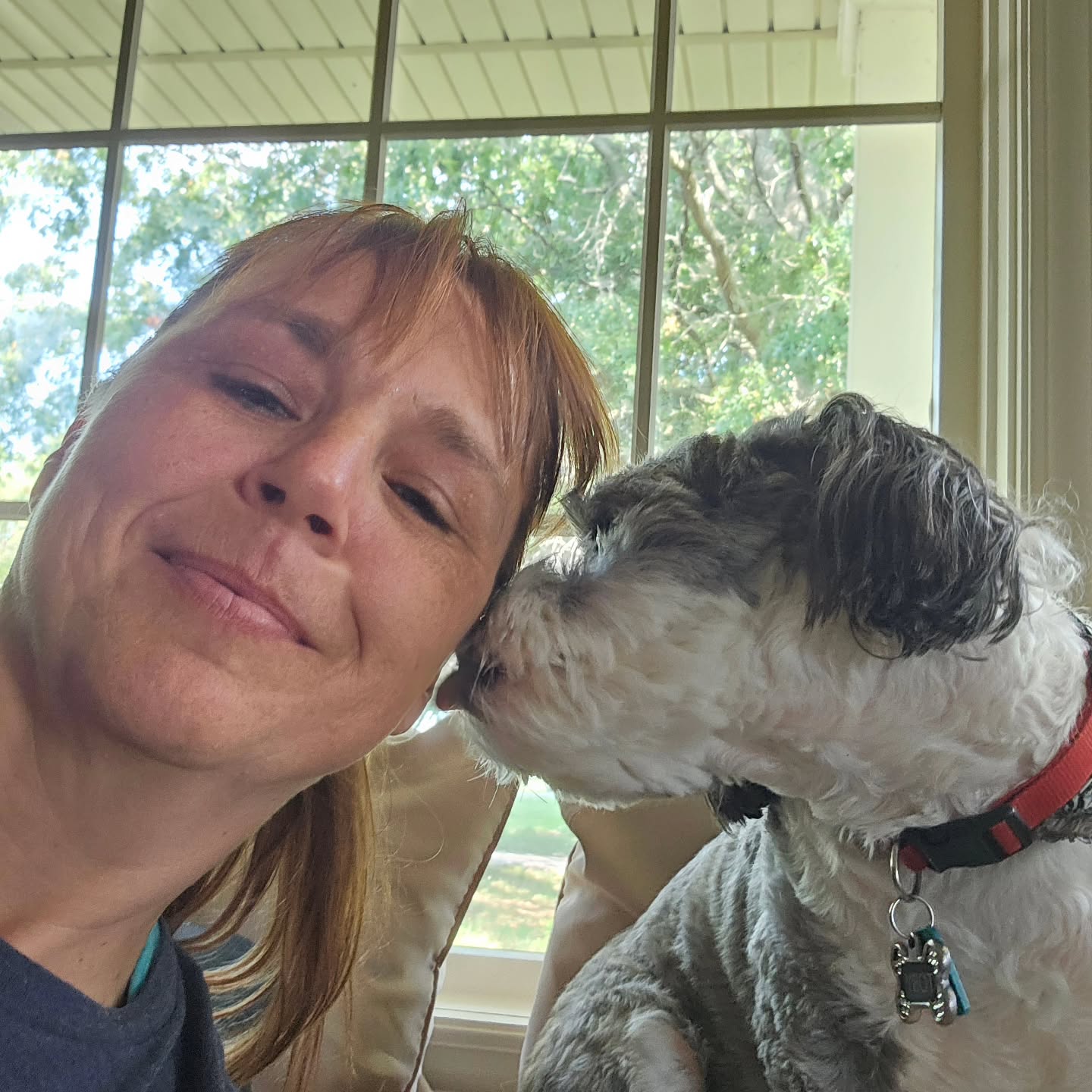 Meet Toby, my colleague, for the next few days. Such a sweet boy. He is helping keep the household in order