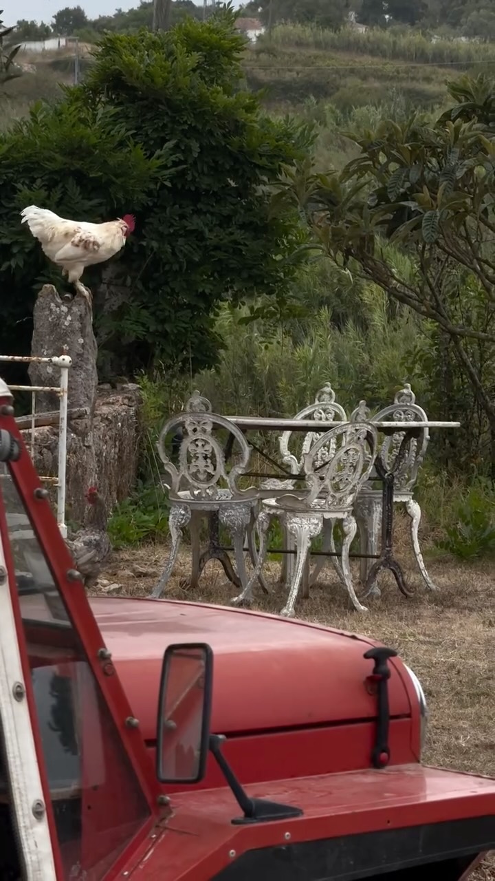 Nourishing the body, calming the mind
Fresh, vibrant meals to support your yoga journey.
@yogacharlene 🧡 #ñ
Fresh veggies from @fazendinha.biologica_
#casatudobem #yogaretreat #tudobem #veganfoodlovers #portugal