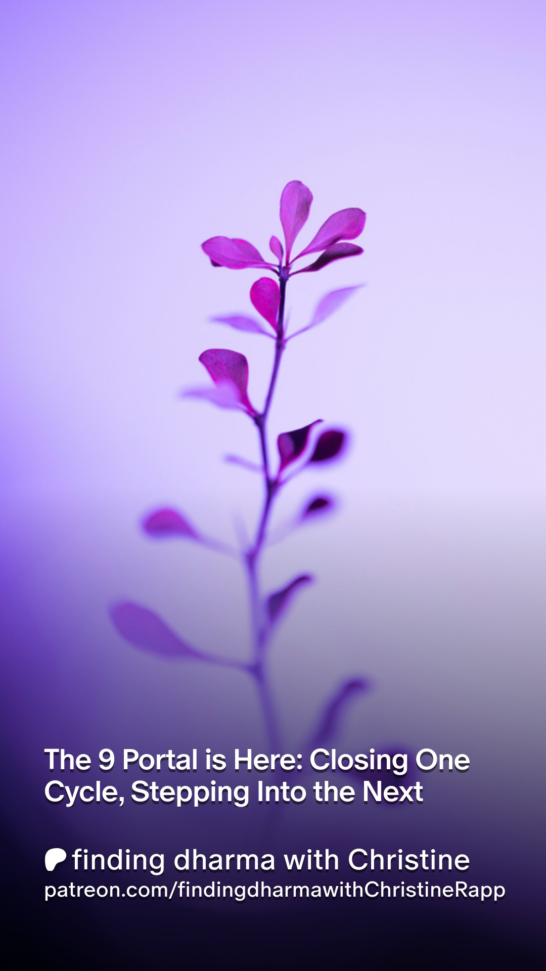 โจ The 9-9 Portal is Here! โจ
2016 feels like yesterdayโฆ but what if that year held the seeds for the next 9 years of your life? ๐ฑ
This portal is all about wrapping up old chapters, celebrating growth, and stepping into your next cycle with clarity and intention. Triple 9 energy meets grounded Virgo vibesโa perfect combo for reflection, closure, and planning your next moves.
Curious how to work with this energy and set powerful intentions? Iโve got a full energy reading with step-by-step exercises, reflections, and ways to honor this 9-9 energy on my new #Patreon page. ๐ซ
๐ Tap the link in bio / check Patreon to dive deeper and step into the next cycle fully aligned!
#999Portal #NumerologyMagic #Reflection #IntentionSetting #NextChapter