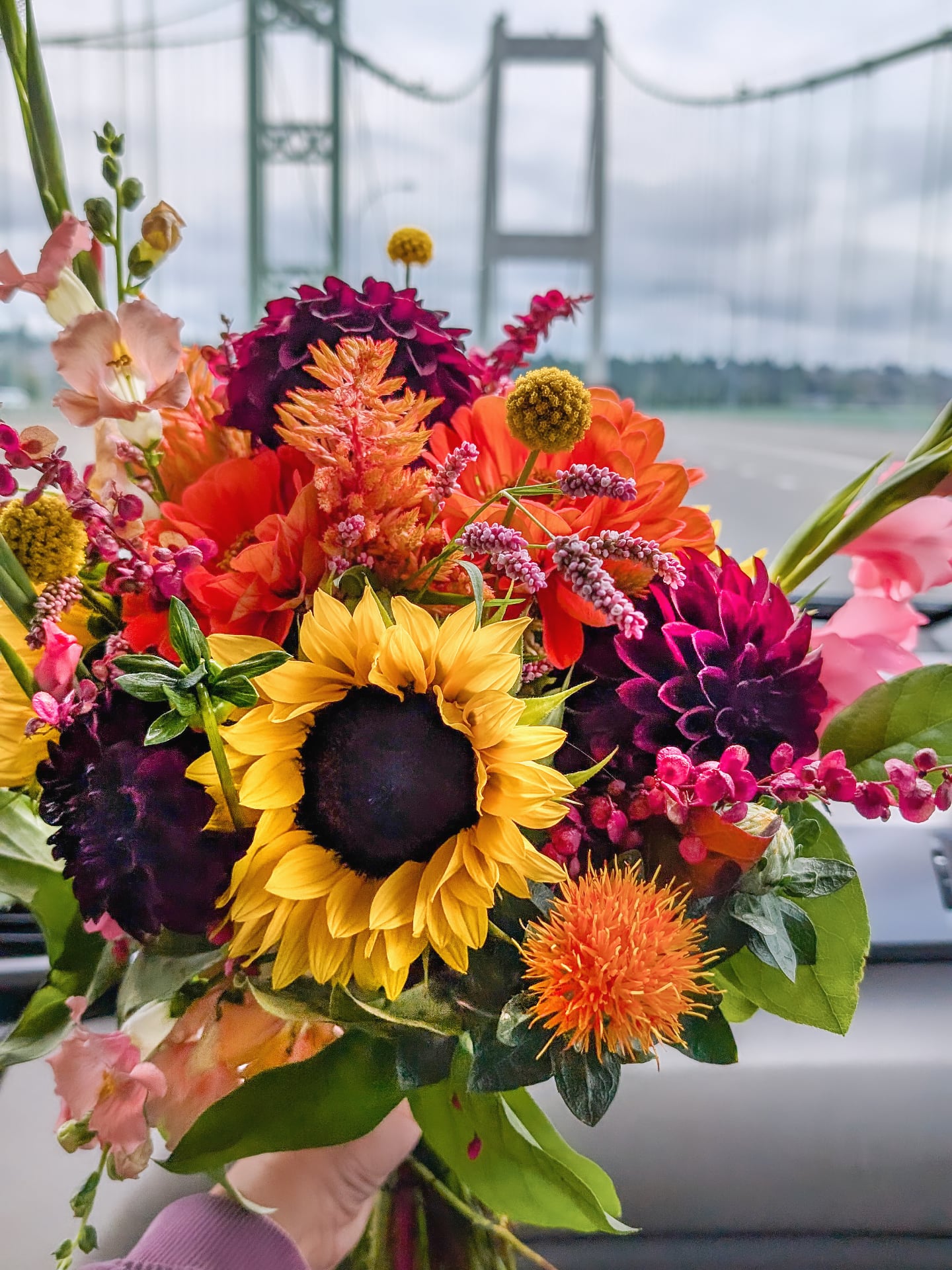 If pumpkin spice was a bouquet. ❤️🧡💛 Need flowers in Tacoma, UP, Fircrest? I'm your girl. And of course Gig Harbor:)
#localflowers #tacomaflorist #gigharborflowers #gigharbormoms #pumpkinspice #psl #floralarrangements #marketbouquet