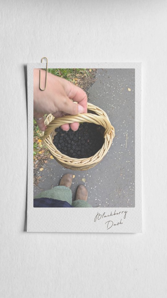 It's the blackberry dash! Hurry people! How is your bush looking? 😆👋🫐
Despite consuming berries like a bear fresh out of hibernation it turns out that picking them is not as exciting as the park 