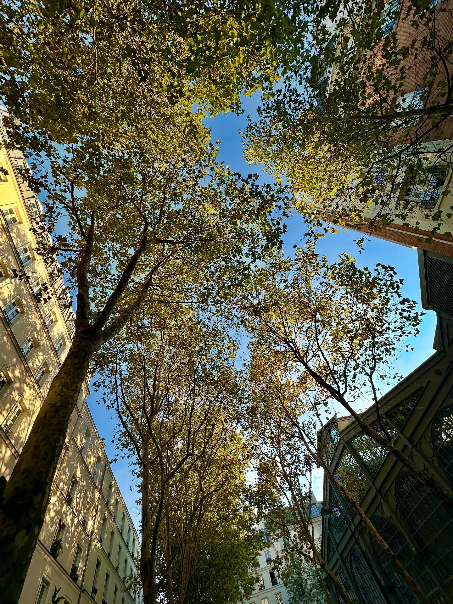 Paris, Paris, Paris.