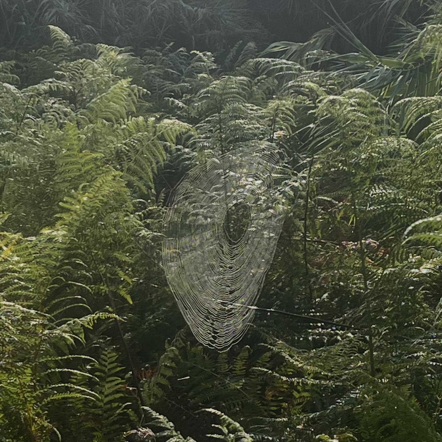 Magic mornings 💙
#hikeprovence #grouphike #远足 #provence #provenceguide #exploreprovence #hiking #hikingadventures #冒险 #ارتفاع #인상 #picnic #adventure