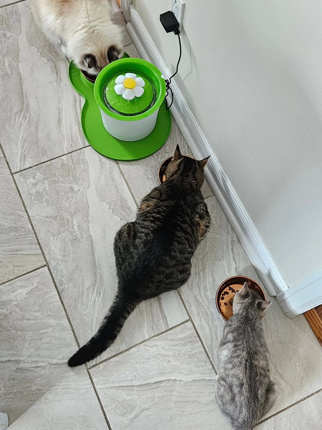 I wonder which of the 3 is the newest 😉