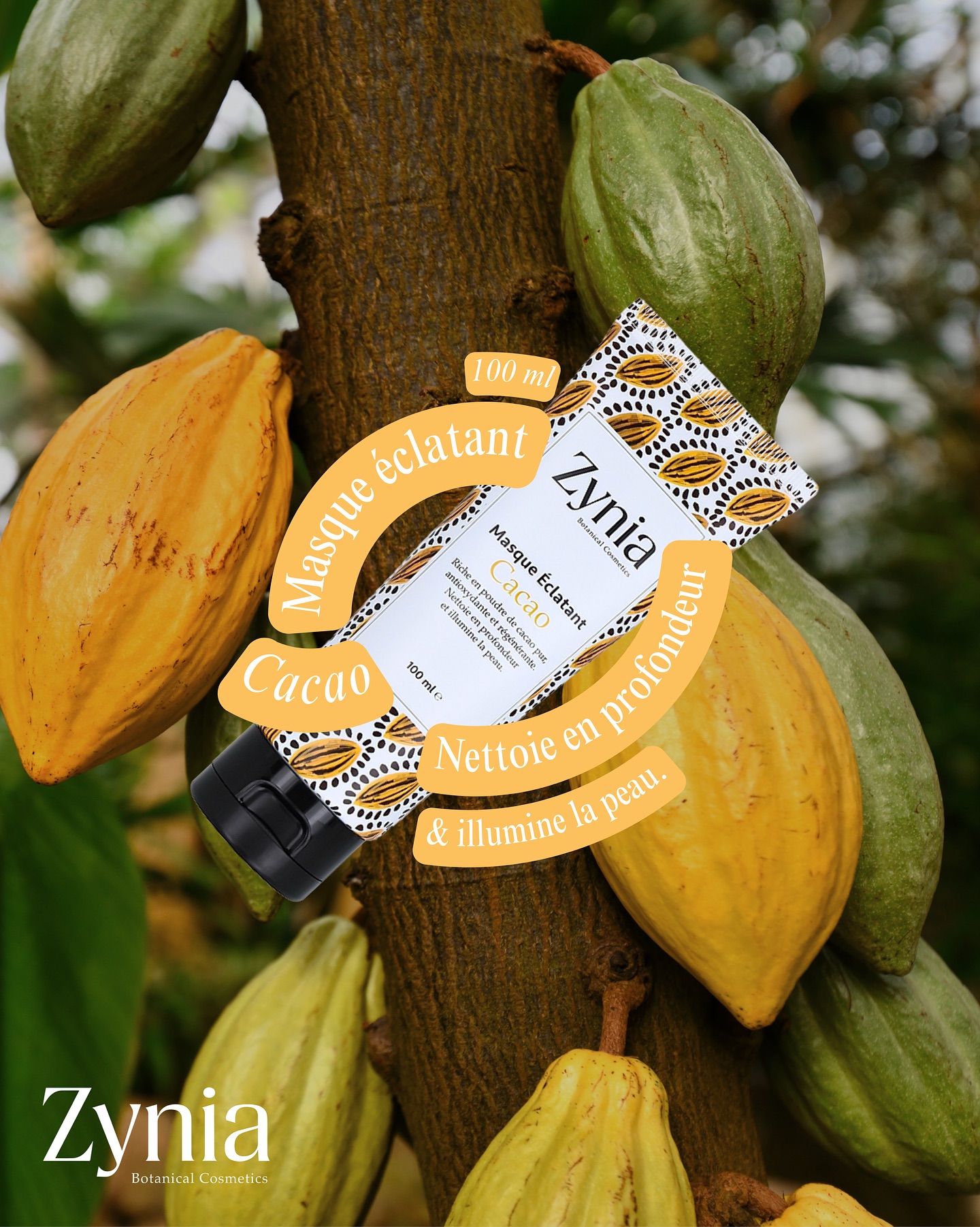 ✨ Masque éclatant au cacao pur qui nettoie en profondeur et illumine naturellement la peau 🌿🍫