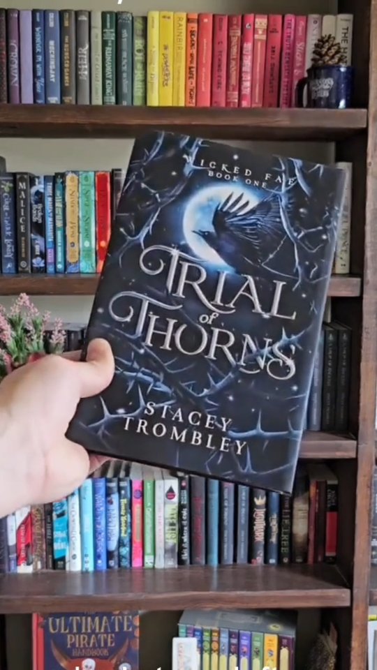 When you have to fight that hard to continue being enemies we know you don't really mean it 😉
Trial of Thorns by Stacey Trombley (now in audio btw!!)
❤️🔥Fae
🗡Enemies to lovers
❤️🔥Slow burn
🗡vi0lent competition
❤️🔥Shadow mommy
#enemiestoloversbooks #fantasyromancebooks #booklover #instareads #bibliophile #booktokrecs #bookreelsofinsta #romantasybook