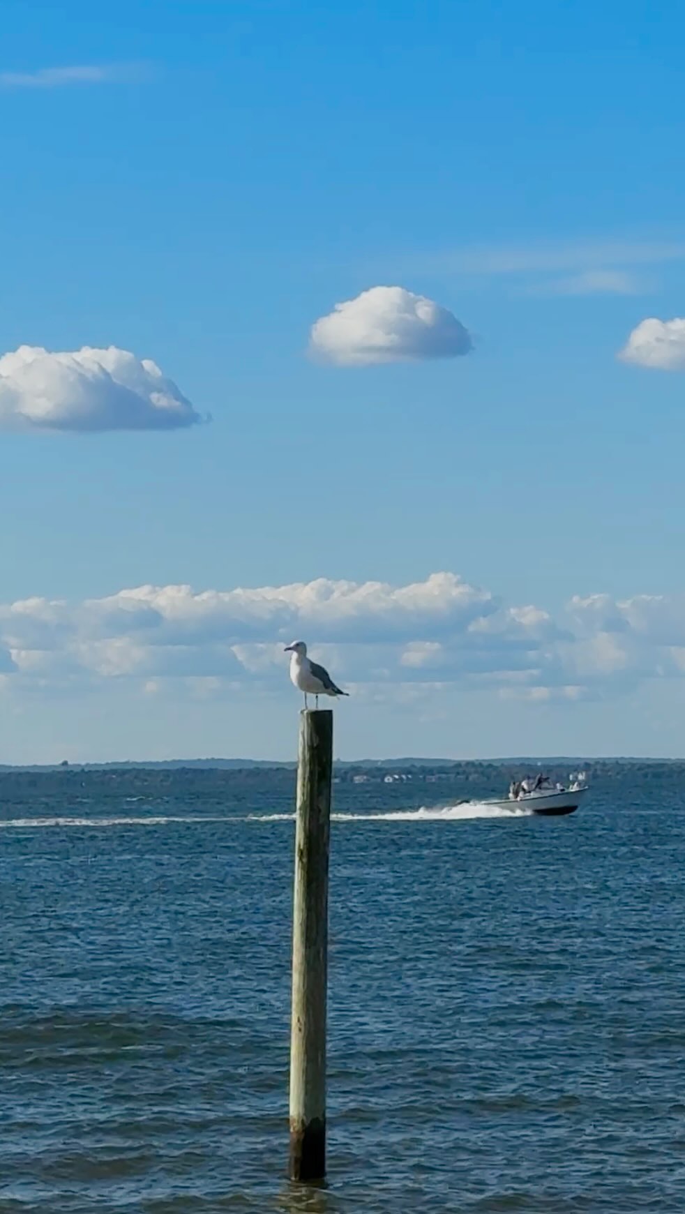 With all the stress September brings, you deserve a little getaway! Come relax at the Fire Island Boatel. Summer might feel over, but the sun, sand, and good vibes are still here waiting for you. 🌞🌅✨
#fireisland #fireislandboatel #kismet #travel #vacation