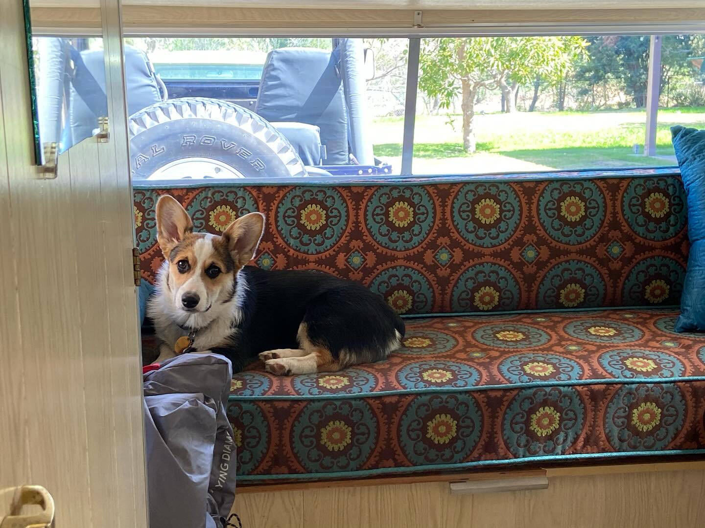 Pooches and trailers❤️ Polkadot in my 1965 Aristocrat Lo-Liner.