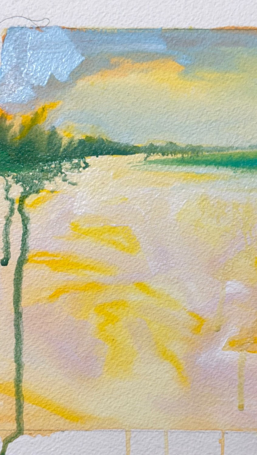 savannah sketchbook diary 🪶
pages from my sketchbook class (spring quarter past)