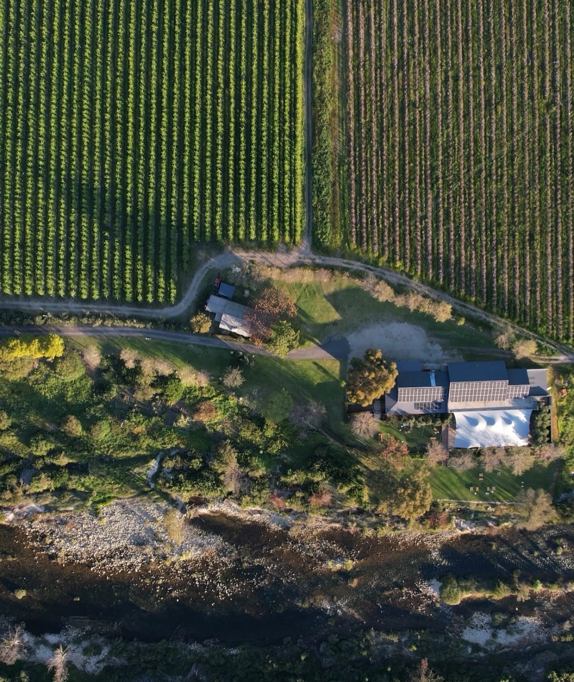 All stars aligned on Saturday for our annual Food Experience. Was it the energy from the imminent Blood Moon gracefully pulling it all together🌙??? 😊
Sun shiny day, beautiful full flowing river, pink blossoms and white blossoms, chirpy birds, drinks flowing, tasty food floating around, incredible background saxophone sounds, and the happiest guests!
It was a pleasure to host this occasion.
Huge thanks to our guests and to these absolutely incredible vendors 👌🏼
@designbymarcel
@leonistaspirit
@loxtonia_cider
@krone.world
@waboomsrivierwines
@mridgewines
@buchananscraftbeer
@kromriviercederbergpark
@carlastokesmusic
@melorie_jane
@olive_rock_venue
Such a fun day and we are so grateful for how smoothly it went. This is not unusual for us ✨
Thank you @bears_eyeview_ for the stunning first photo on my roll and to @amy__robinson_ for taking pictures on the day