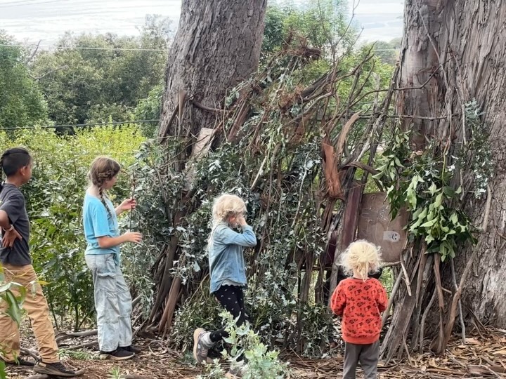 It’s not about electronics. It’s not about filling every single moment of the day with activities.
It’s about exploration. It’s about learning through real experiences, building trust and respect, and remembering not to take every behavioral challenge personally.
Our children are meant to grow strong—mentally, physically, emotionally, and spiritually. That strength shows up in their confidence to face challenges, in their awareness of the world around them, and in their resilience to rise again and again.
Homeschooling shouldn’t be about stress—for parent or child. I see so many parents panic when they don’t have it “all figured out.” But the truth is: you don’t need to.
Turn off the TV. Put away the electronics. Be present with your child. Do what they want to do—without devices—and watch what unfolds. Yes, they may stumble at first (because mindsets take time to shift). But if you want to see change in your child, you have to be willing to change too.
Let them lead. Let them explore. Walk beside them as they discover the world.
This has been heavy on my heart this morning as I reflect on my own parenting and educational philosophy. And I can see the fruit—it’s creating strong, confident, and resilient kids who will carry that strength into adulthood. #mauihomeschoolcommunity #unschoolinglife #letkidsbefreetoplay #changethemindset #ponooutdoorprogram #riseandriseagain